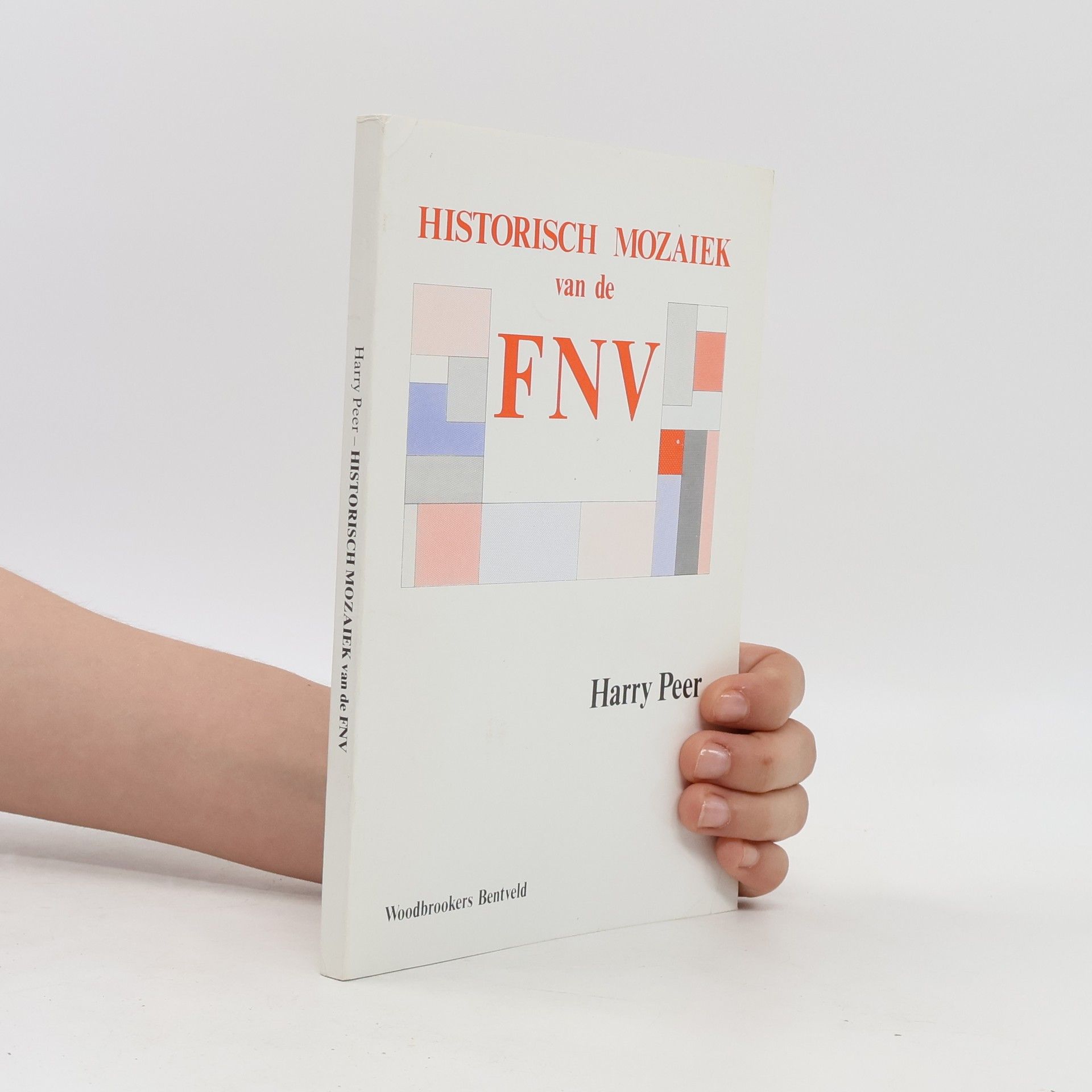 Harry Peer Historisch Mozaiek van de FNV