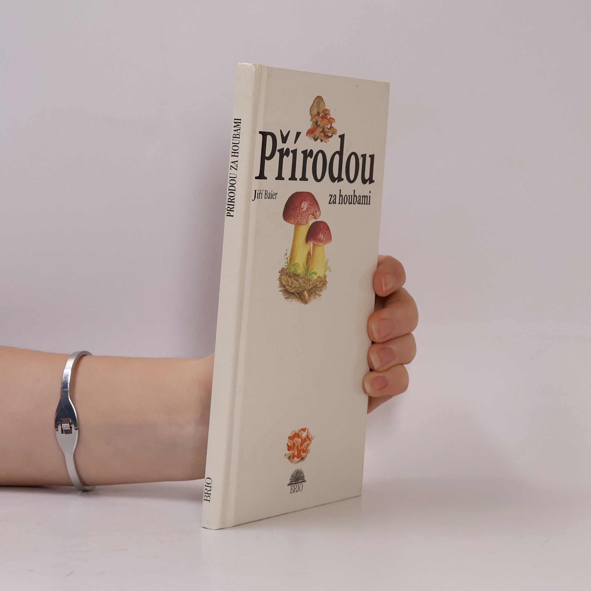 Jiří Baier Přírodou za houbami
