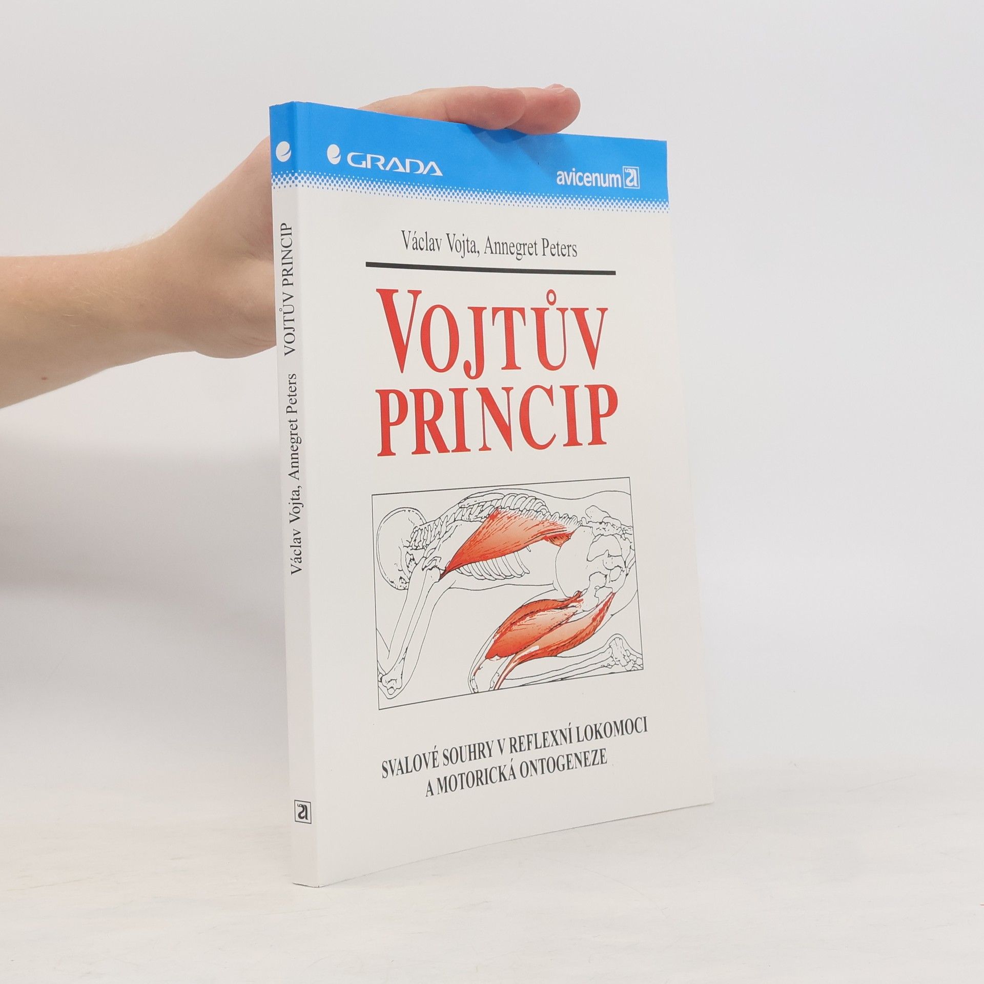 Annegret Peters Vojtův princip