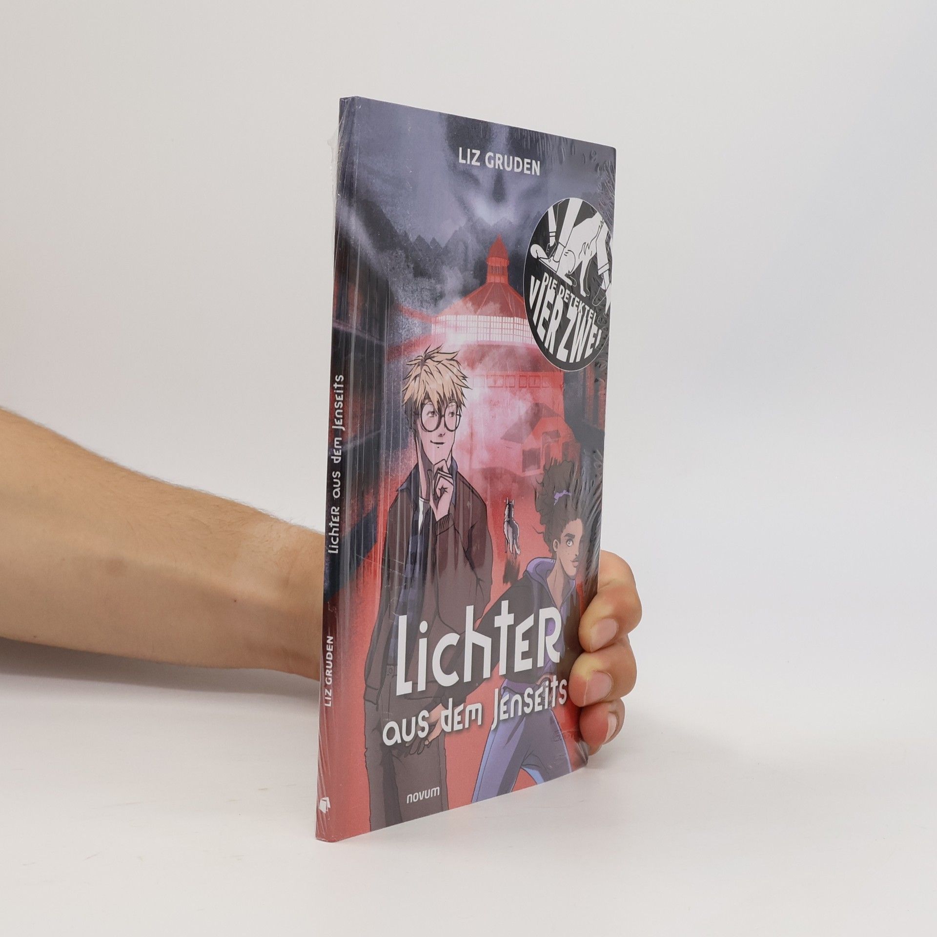 Liz Gruden Lichter aus dem Jenseits