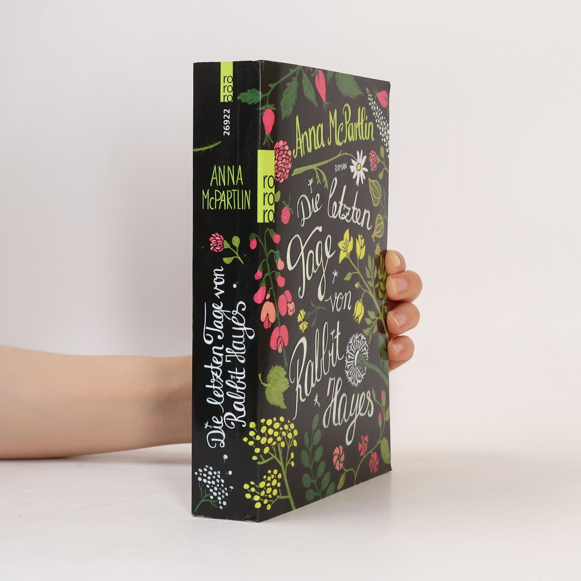 Anna McPartlin Die letzten Tage von Rabbit Hayes