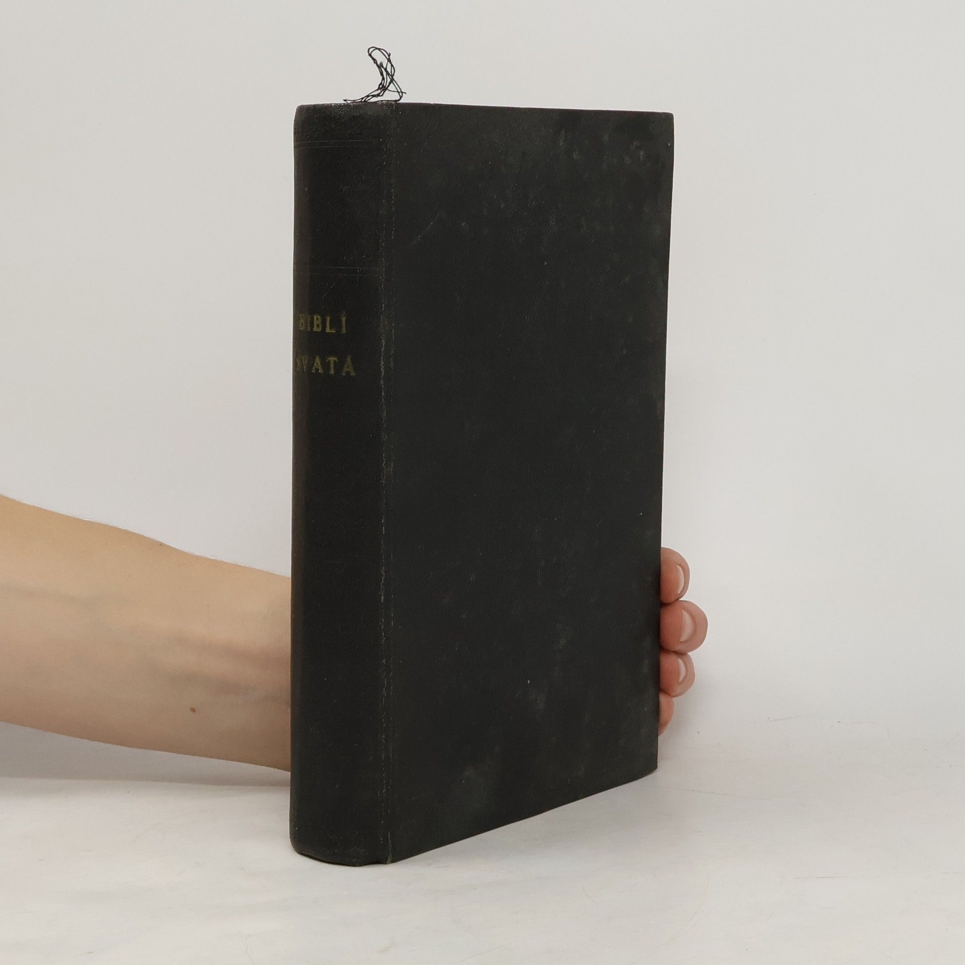 Kolektiv autorů Biblí svatá