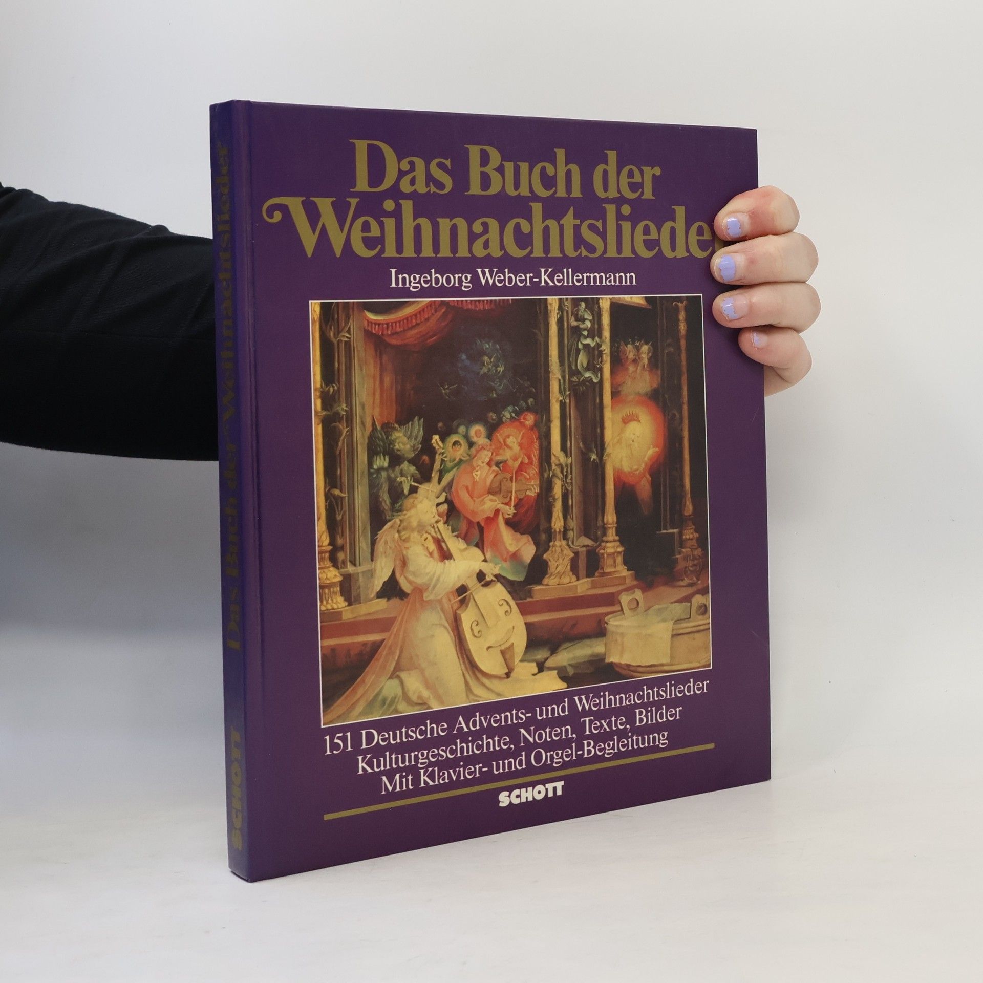 Hilger Schallehn Das Buch der Weihnachtslieder : 151 deutsche Advents- und Weihnachtslieder : Kulturgeschichte, Noten, Texte, Bilder mit Klavier- und Orgel-Begleitung
