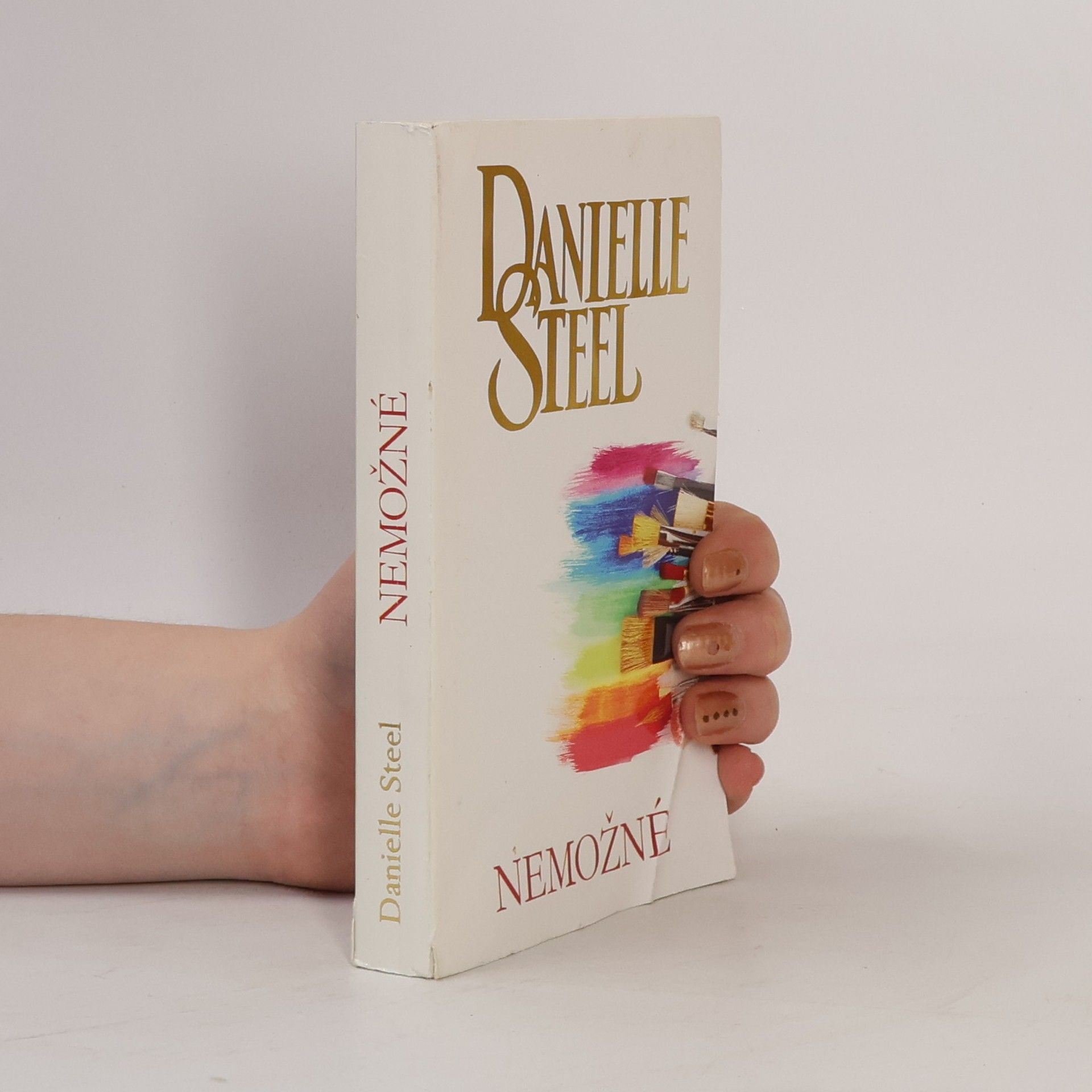 Danielle Steel Nemožné