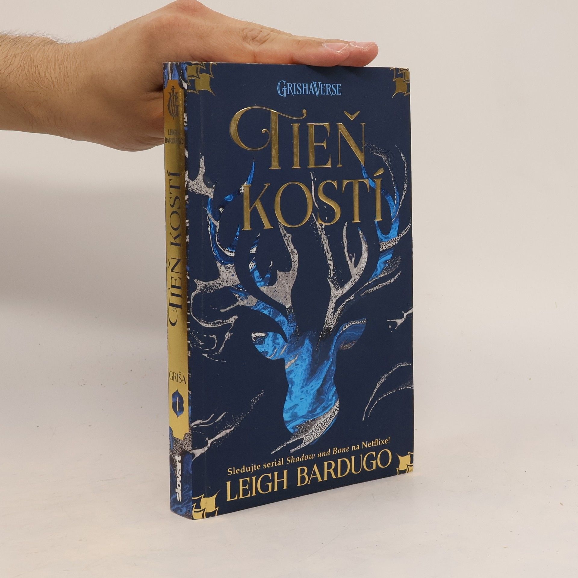 Leigh Bardugo Tieň kostí