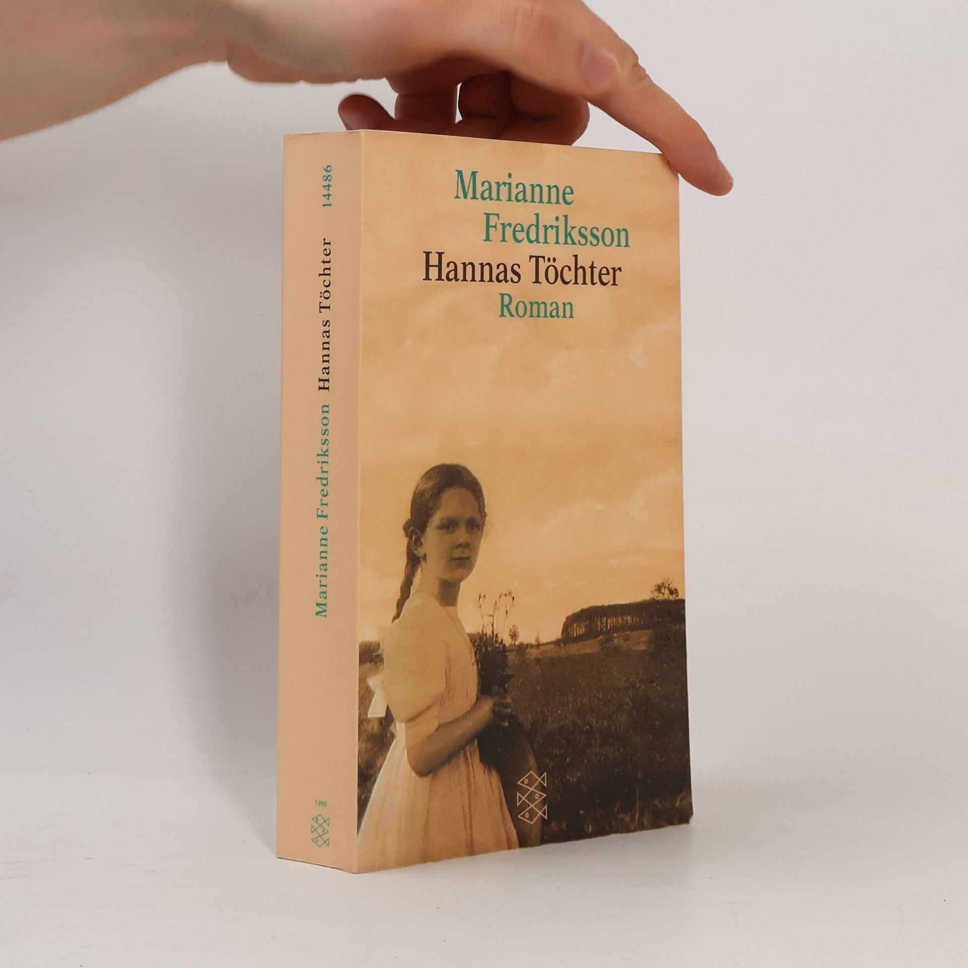Marianne Fredriksson Hannas Töchter