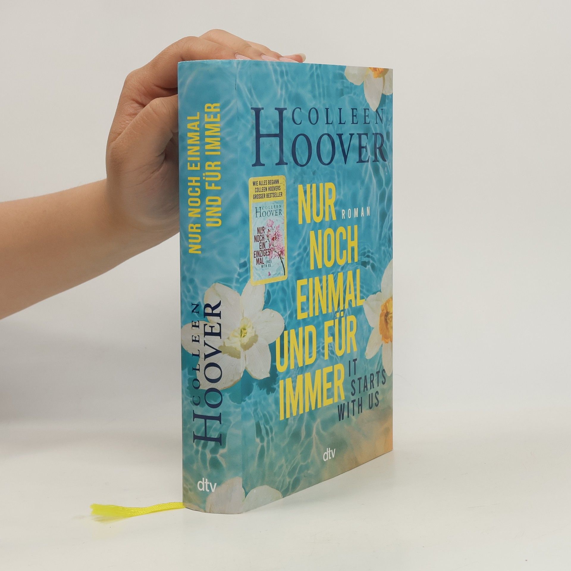Colleen Hoover Nur noch einmal und für immer