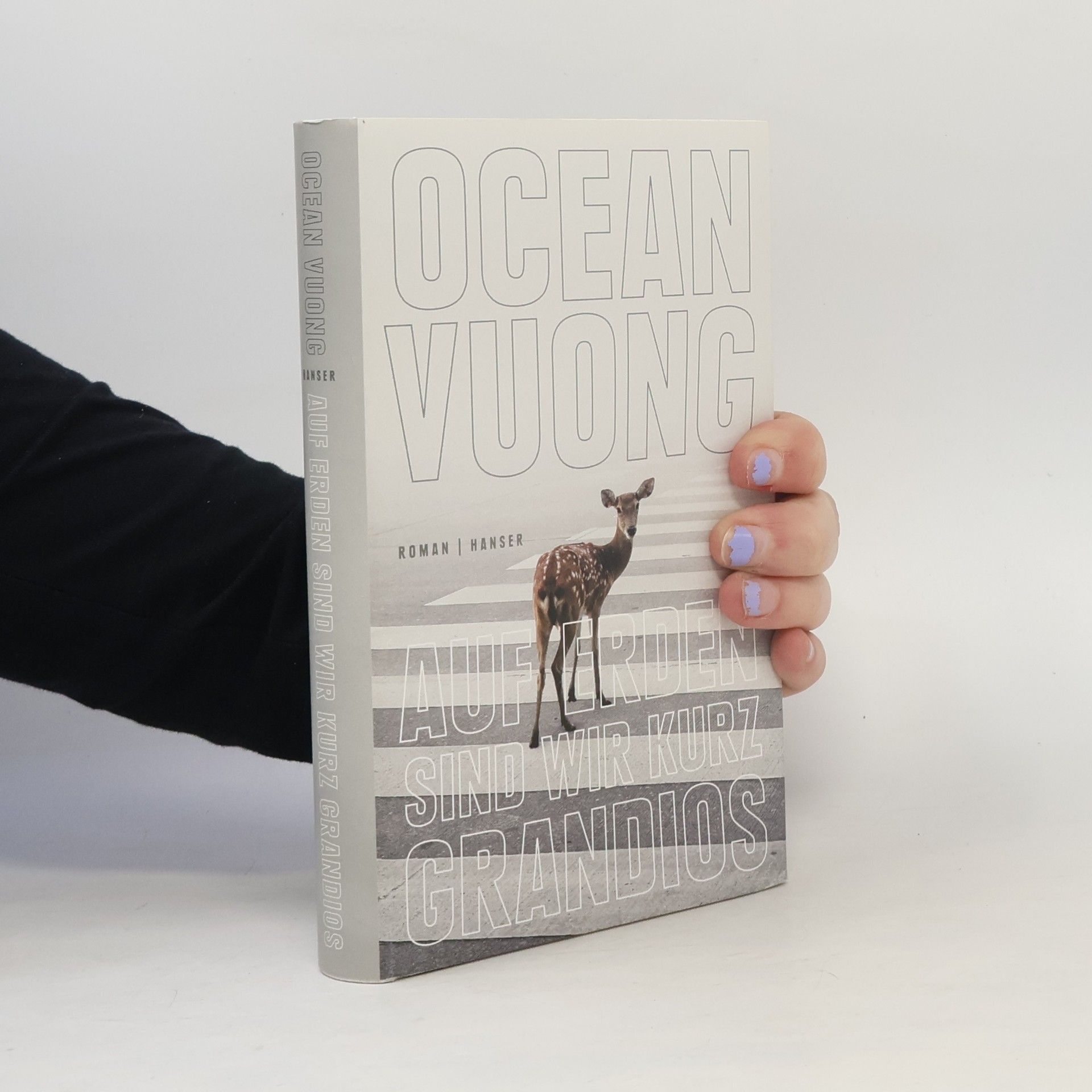 Ocean Vuong Auf Erden sind wir kurz grandios