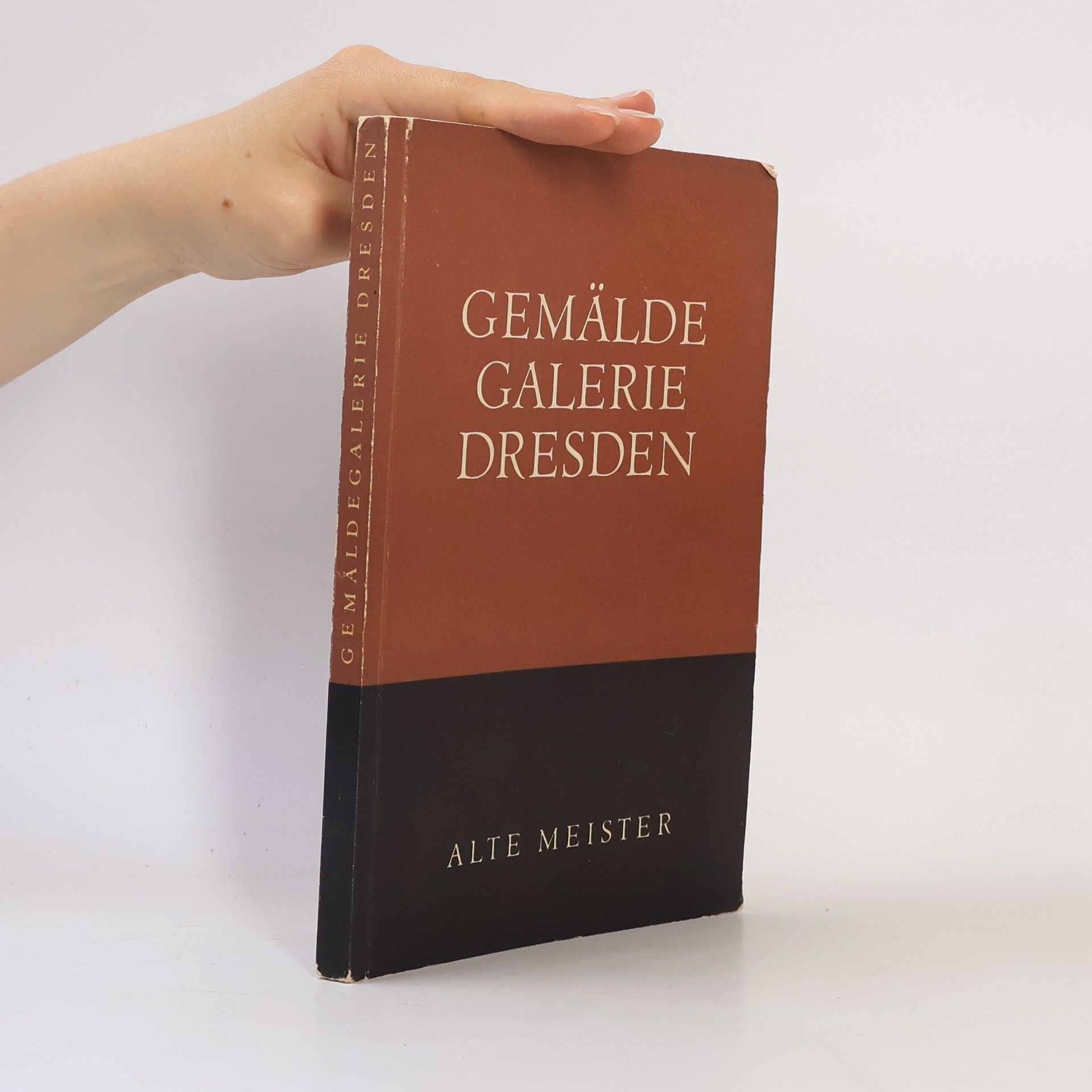 Alte Meister Gemälde Galerie Dresden