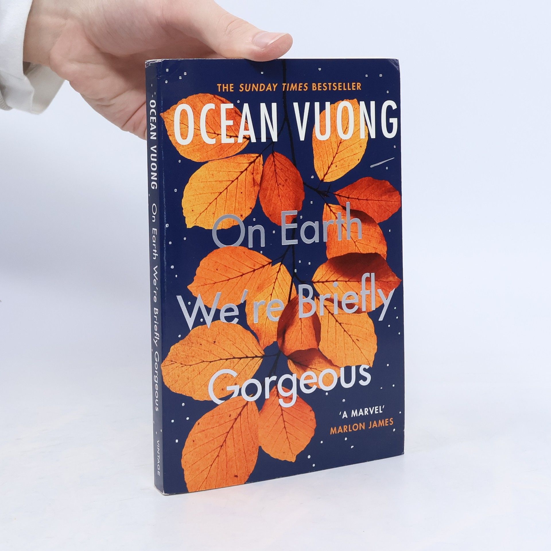 Ocean Vuong On Earth We're Briefly Gorgeous
