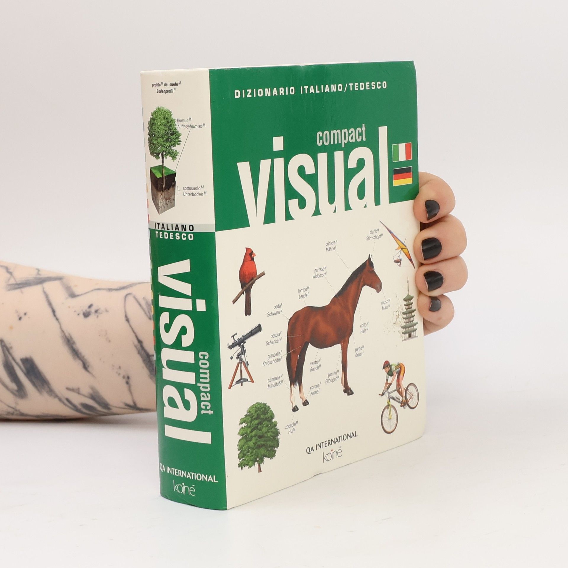 Compact visual