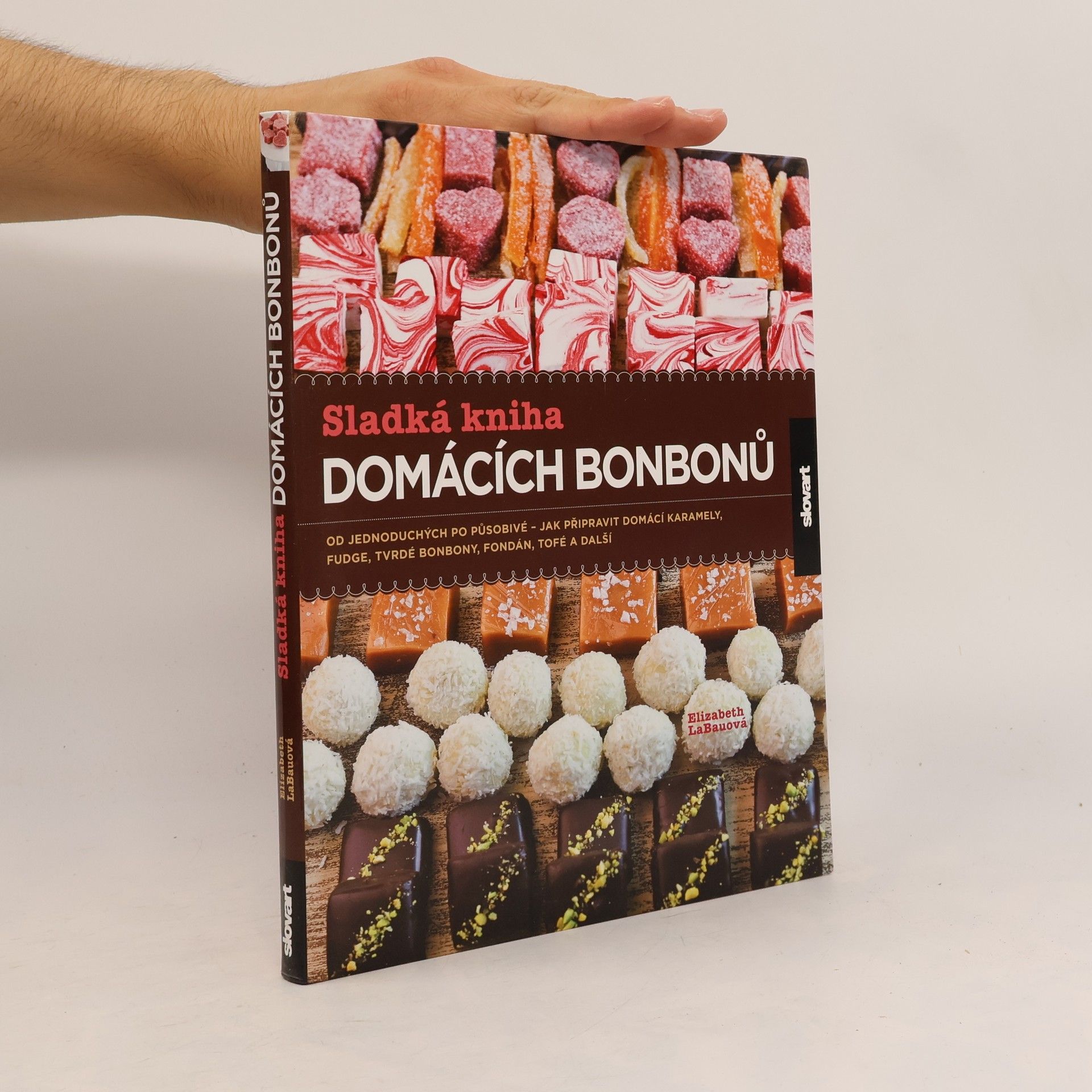 Elizabeth LaBau Sladká kniha domácích bonbonů