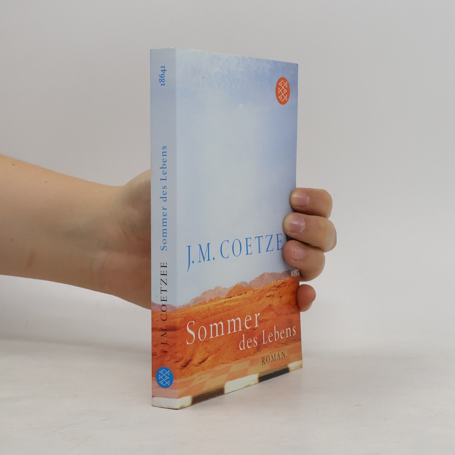 J. M. Coetzee Sommer des Lebens
