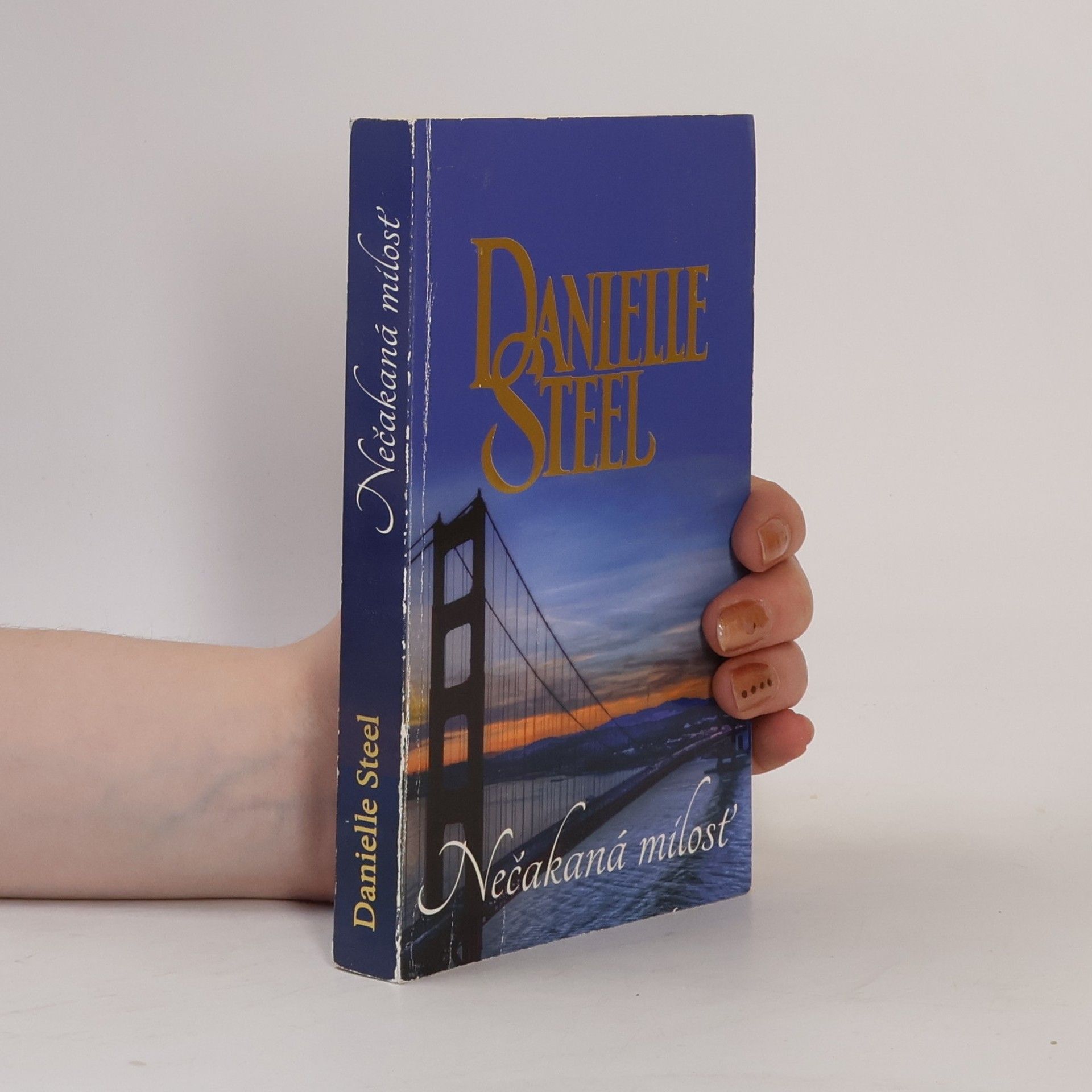 Danielle Steel Nečakaná mílosť