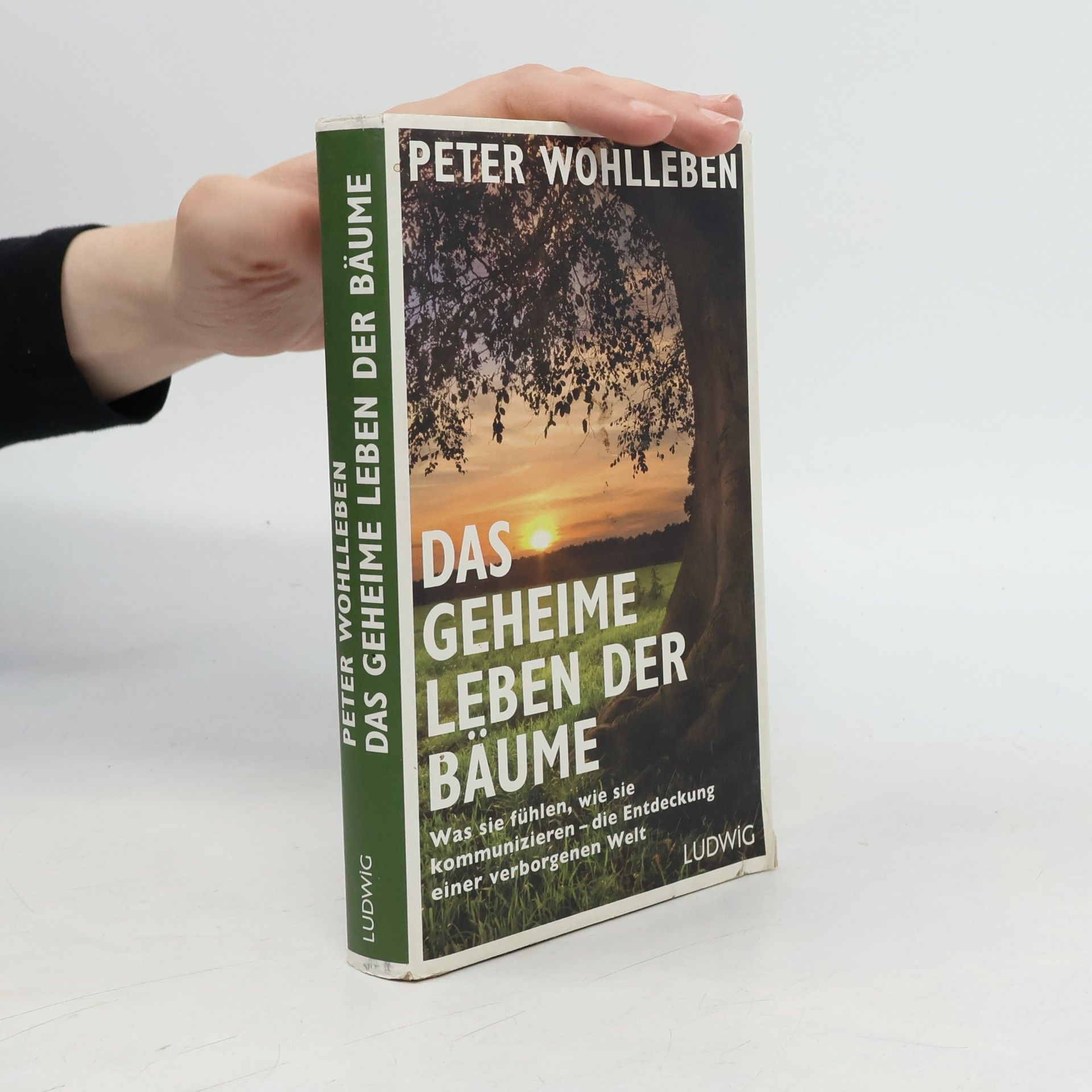 Peter Wohlleben Das geheime Leben der Bäume