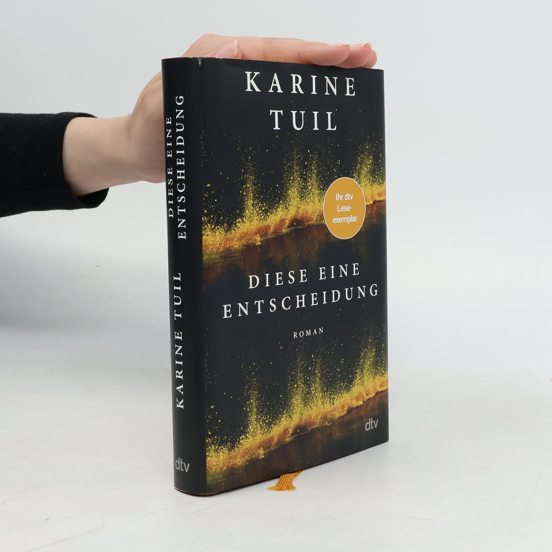 Karine Tuil Diese eine Entscheidung