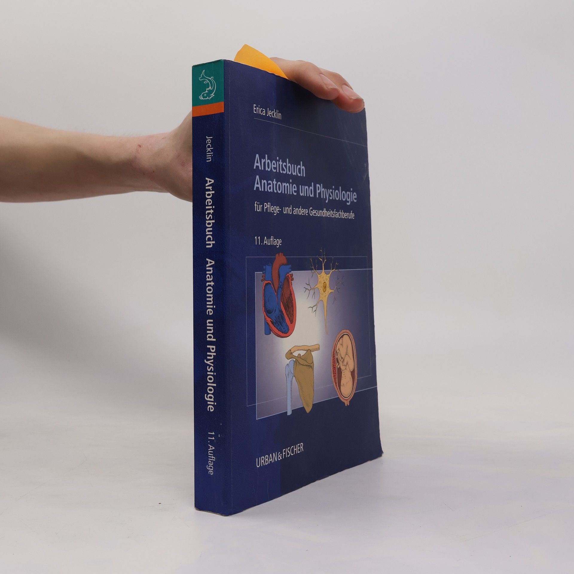 Erica Brühlmann-Jecklin Arbeitsbuch Anatomie und Physiologie für Pflege- und andere Gesundheitsfachberufe