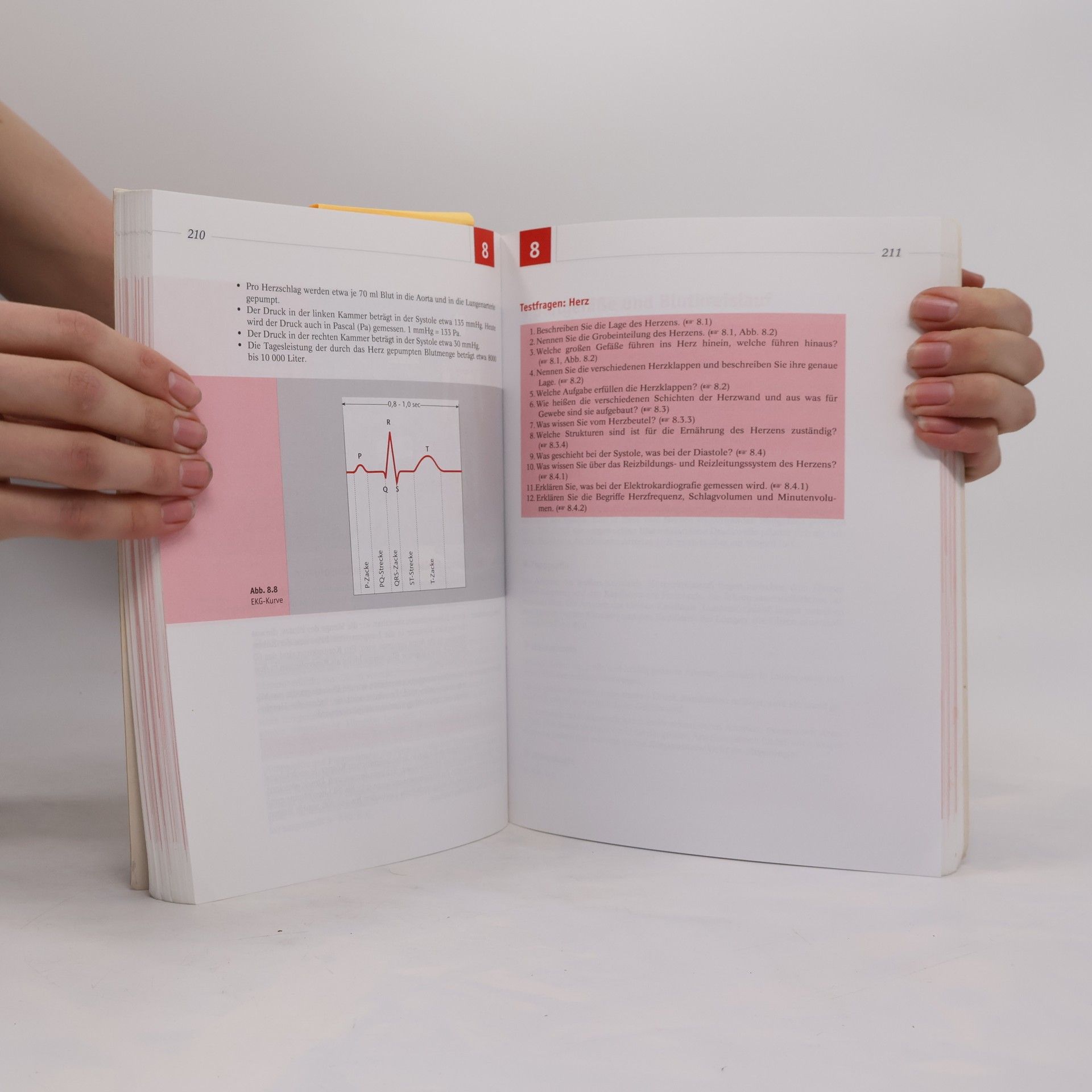 Erica Brühlmann-Jecklin Arbeitsbuch Anatomie und Physiologie für Pflege- und andere Gesundheitsfachberufe