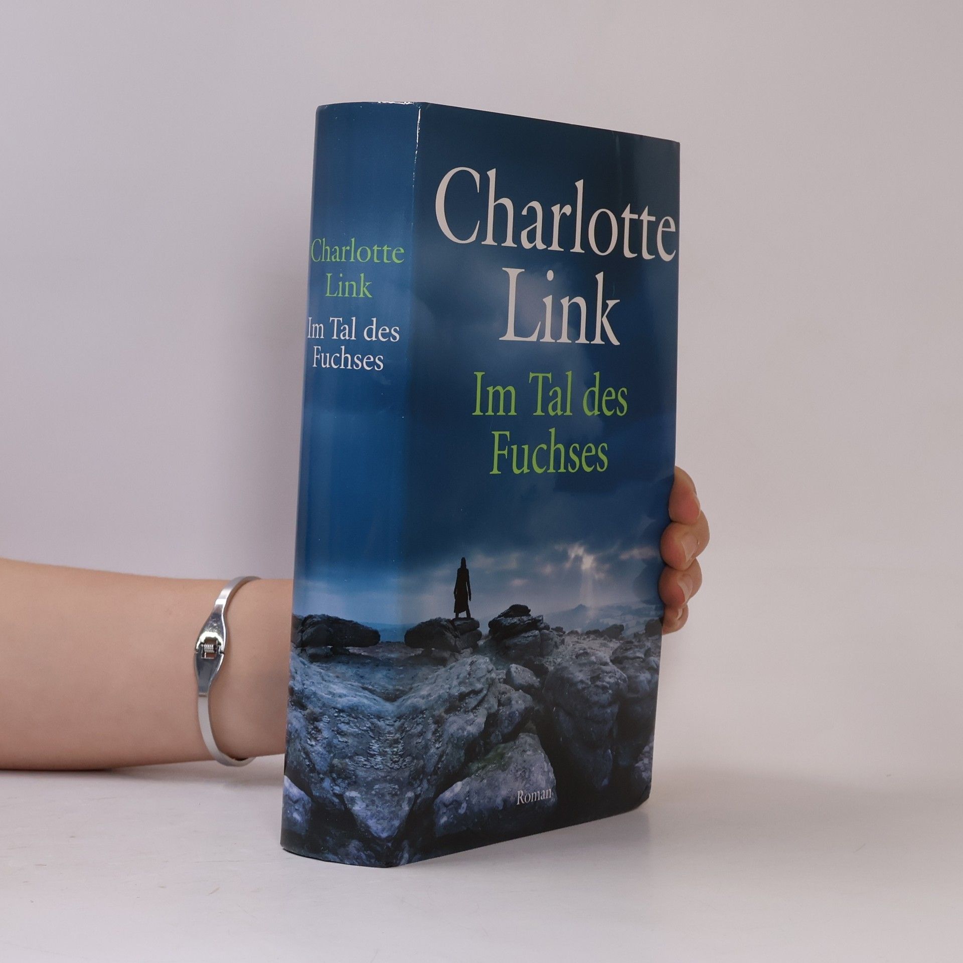 Charlotte Link Im Tal des Fuchses