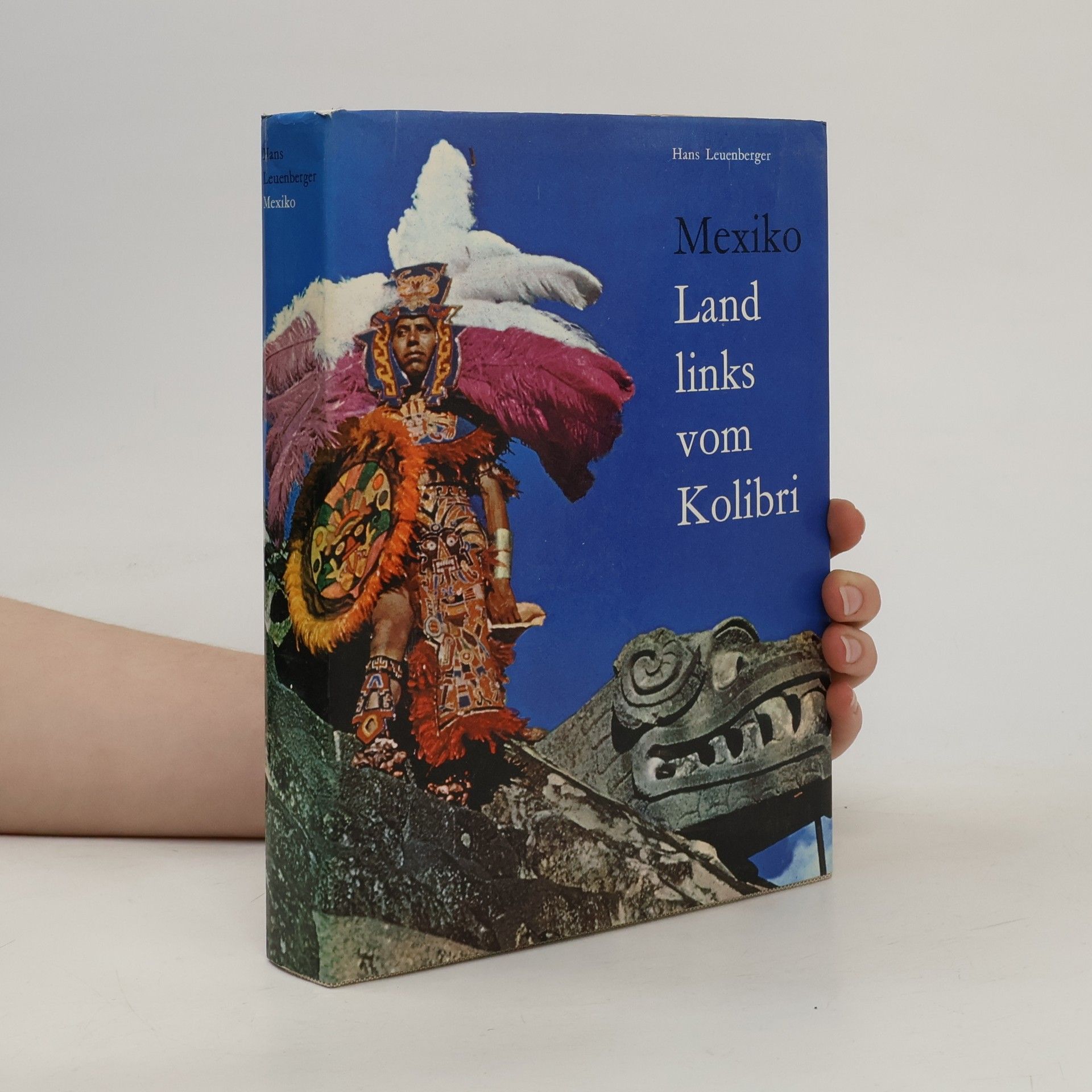 Hans Leuenberger Mexiko. Land links vom Kolibri
