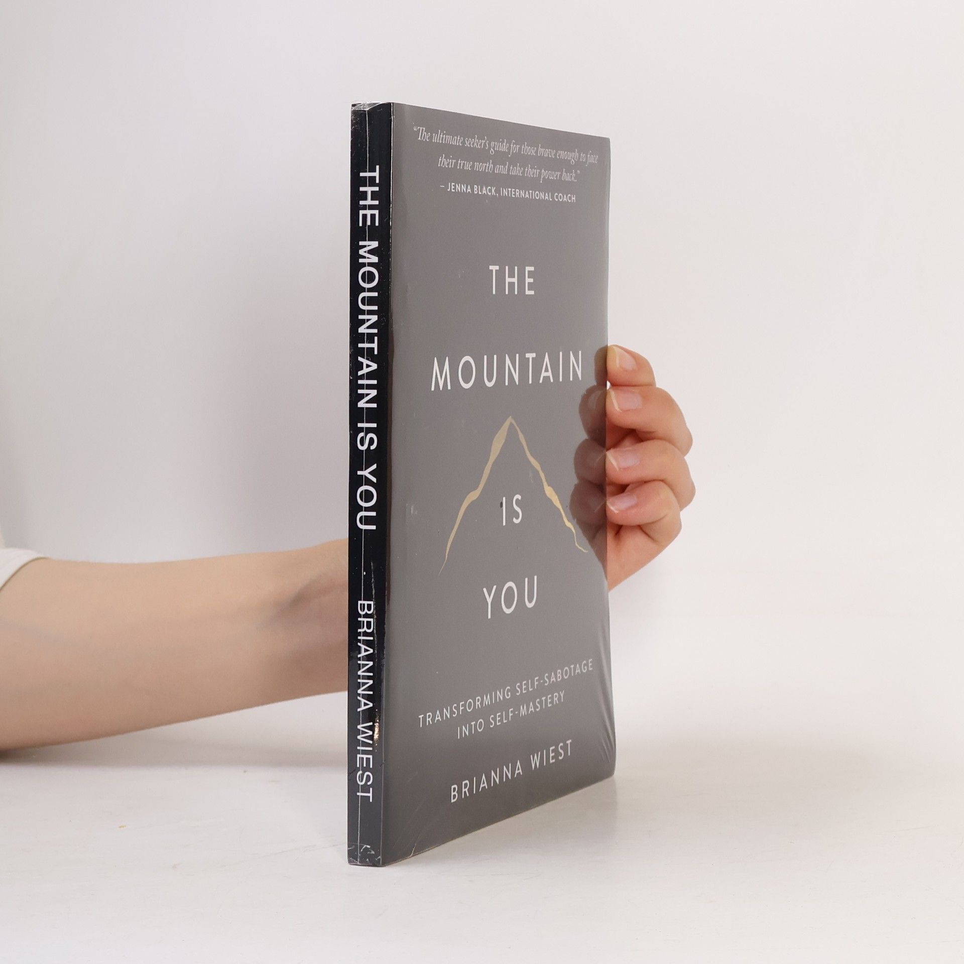 Brianna Wiest The Mountain Is You