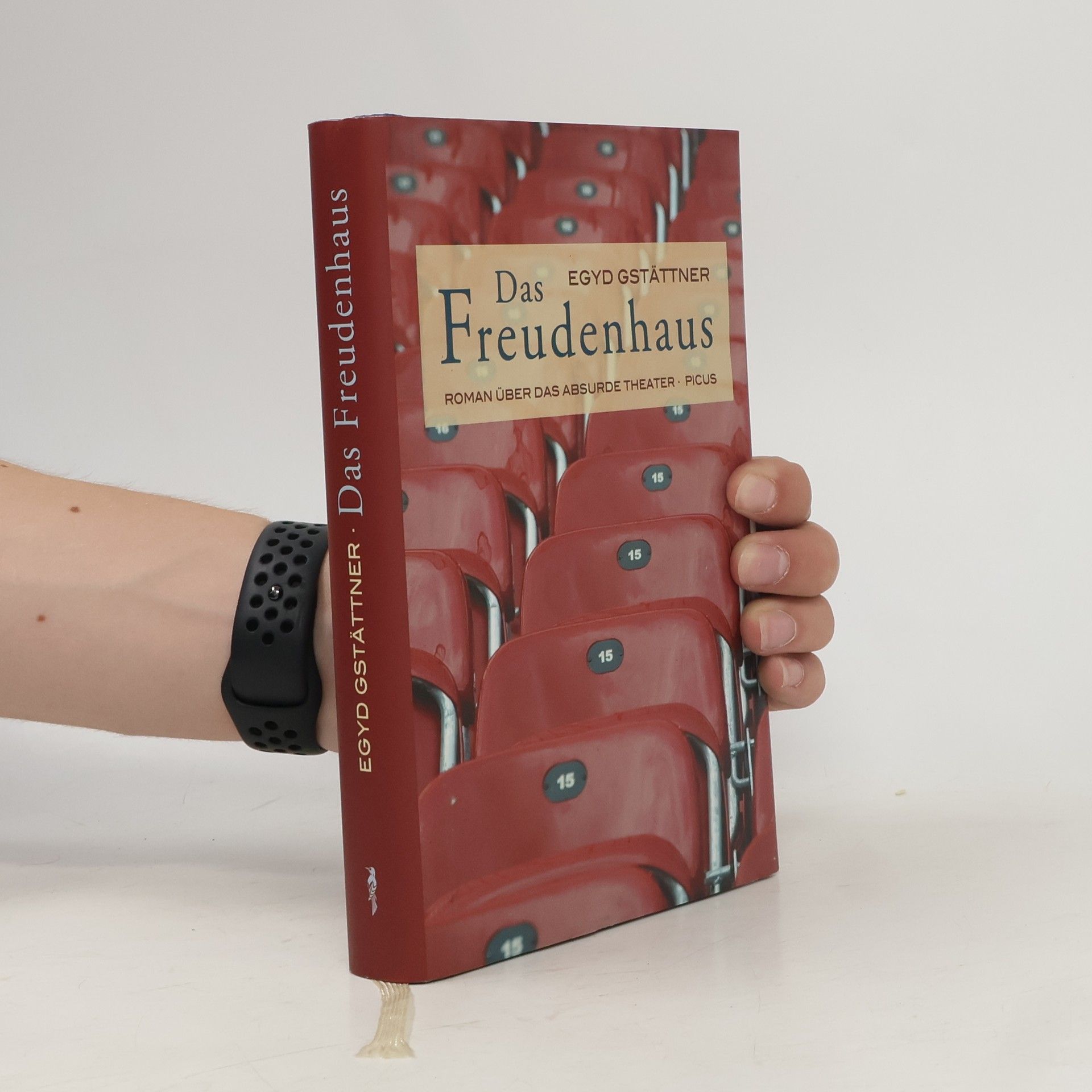 Egyd Gstättner Das Freudenhaus