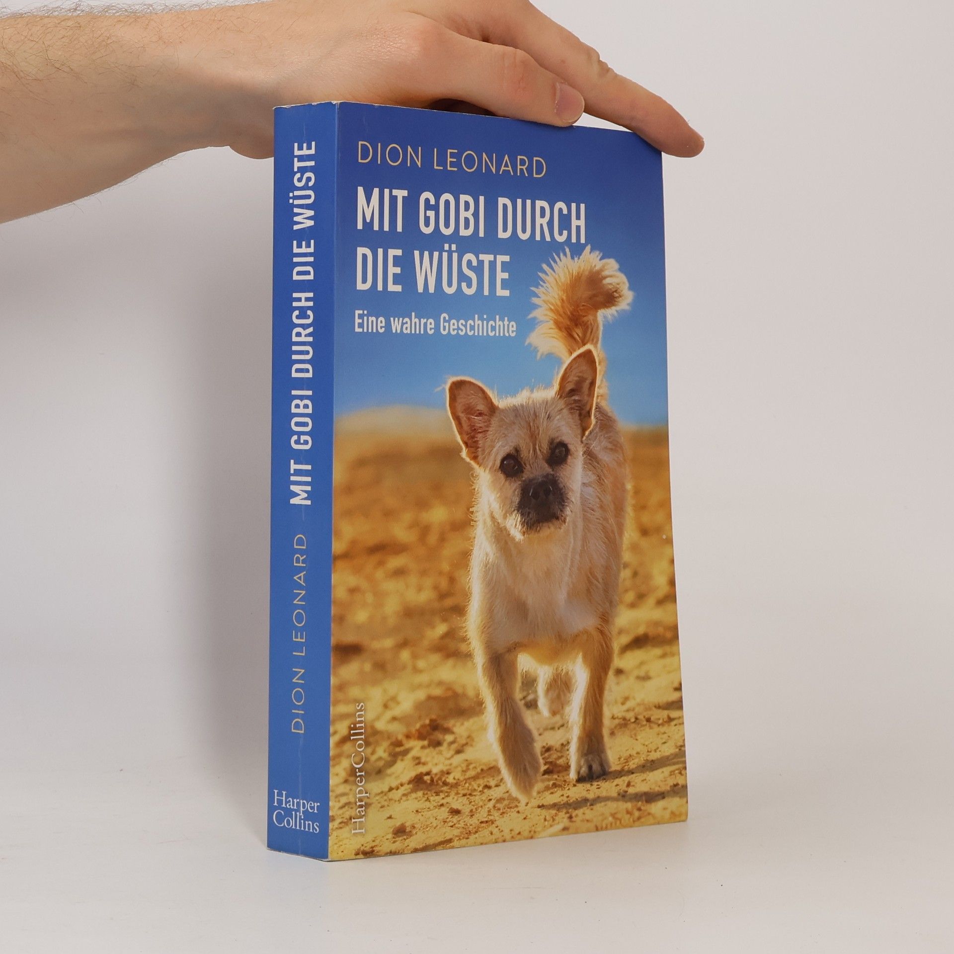 Dion Leonard Mit Gobi durch die Wüste