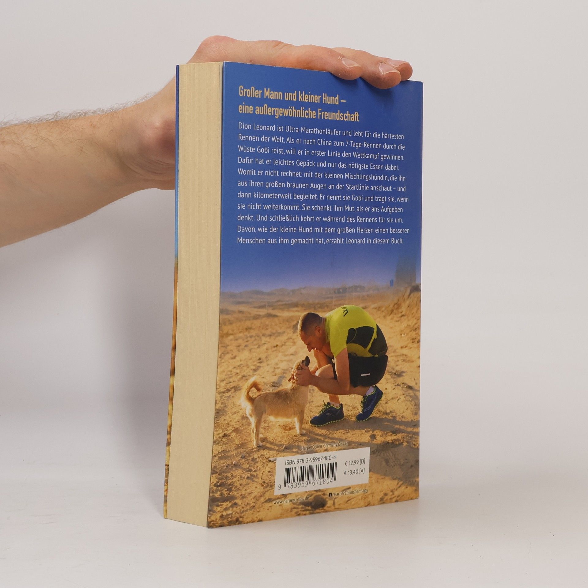Dion Leonard Mit Gobi durch die Wüste