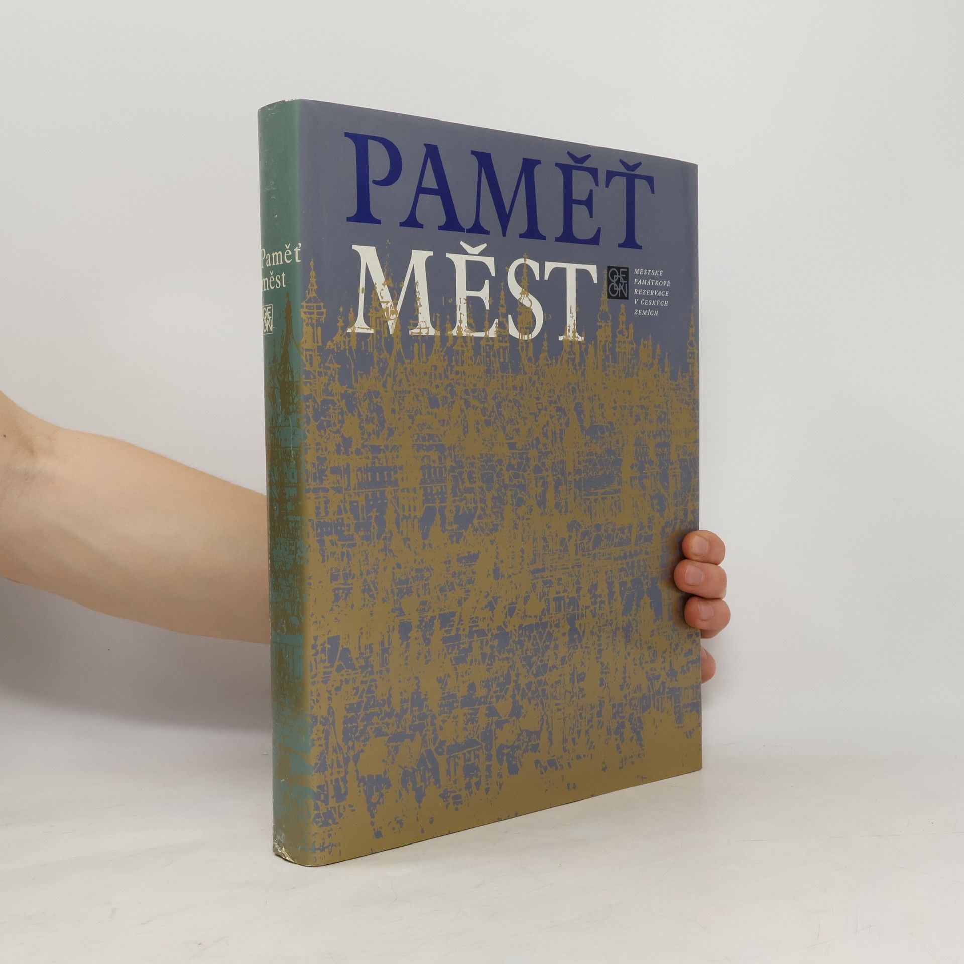 Kolektiv autorů Paměť měst