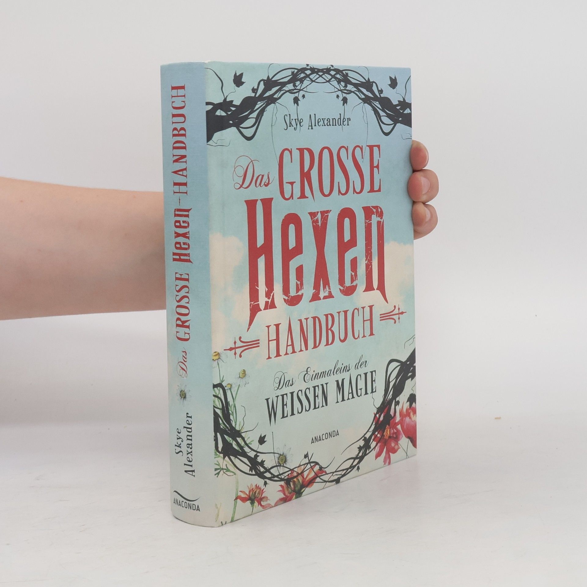 Skye Alexander Das große Hexen-Handbuch