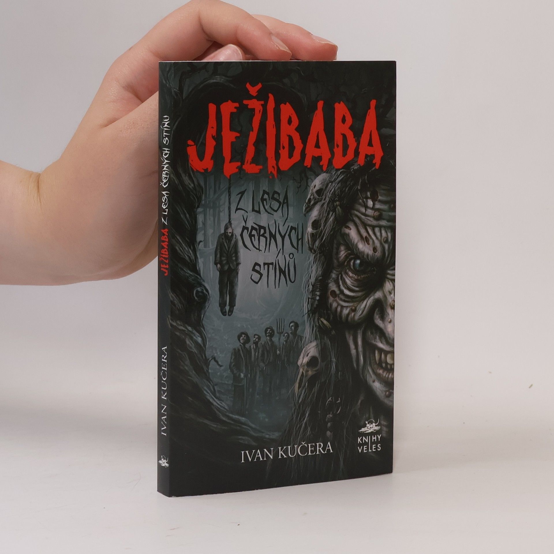 Ivan Kučera Ježibaba z Lesa černých stínů