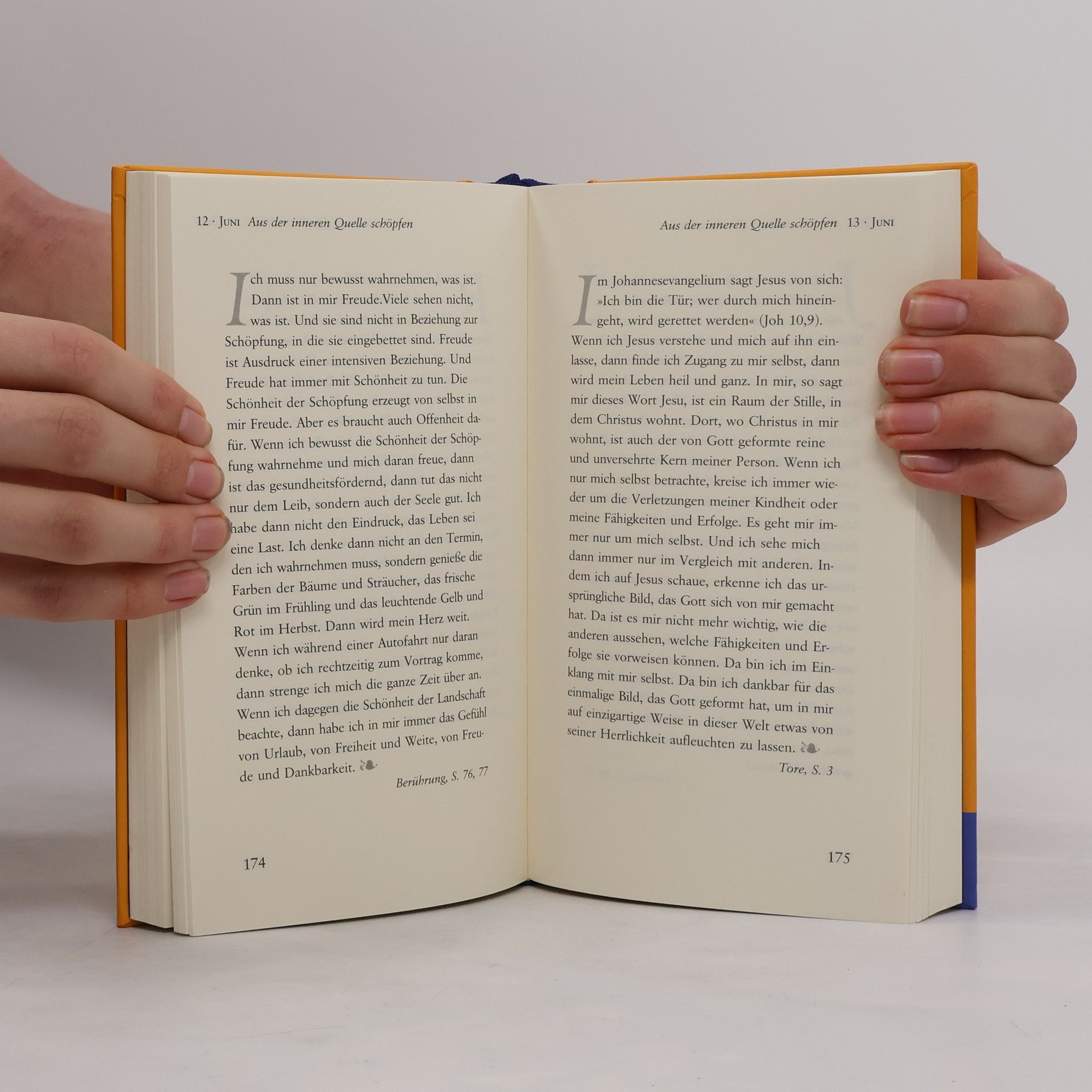 Anselm Grün Das Herz des Tages: Mit Anselm Grün durch das Jahr