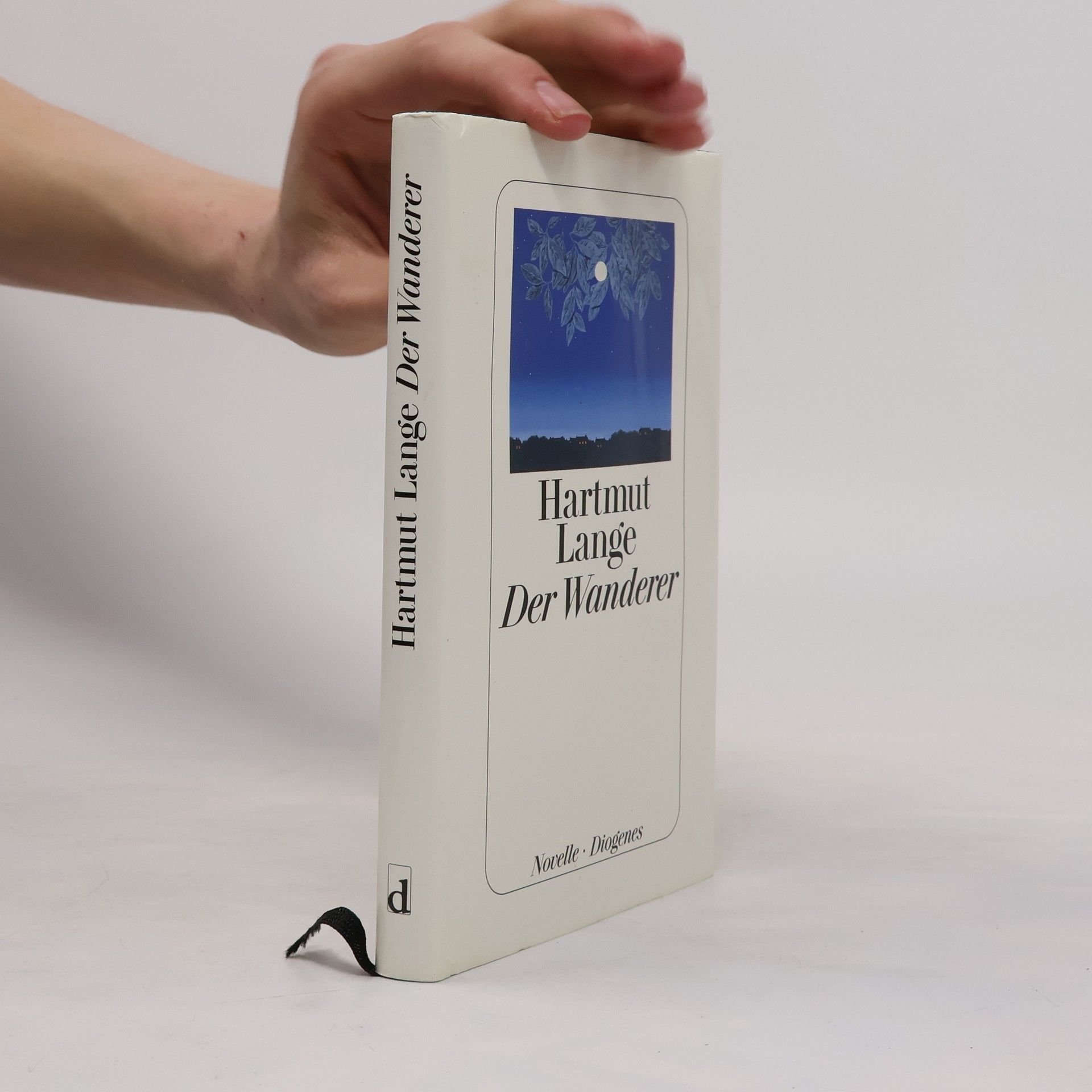 Hartmut Lange Der Wanderer