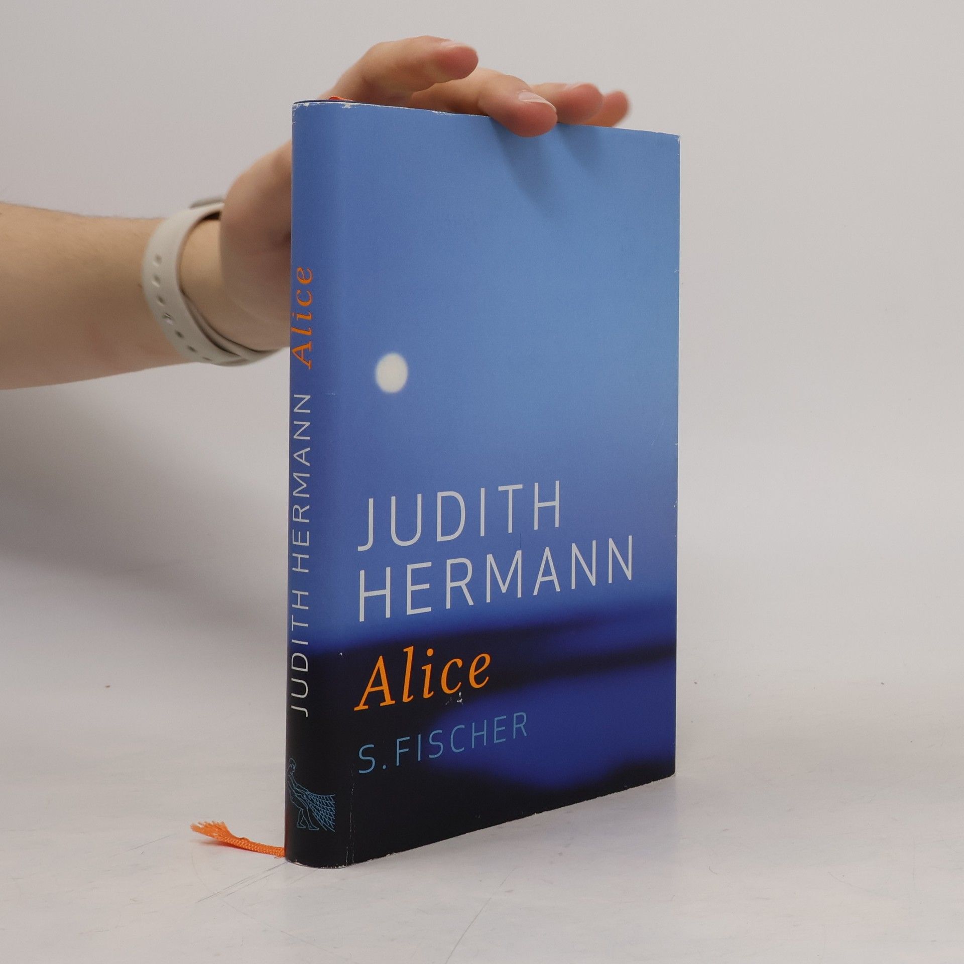 Judith Hermann Alice