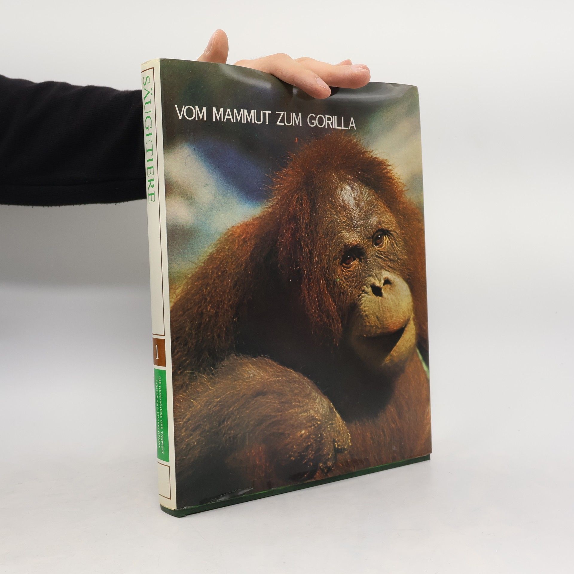 Autorenkollektiv Von Mammut zum Gorilla