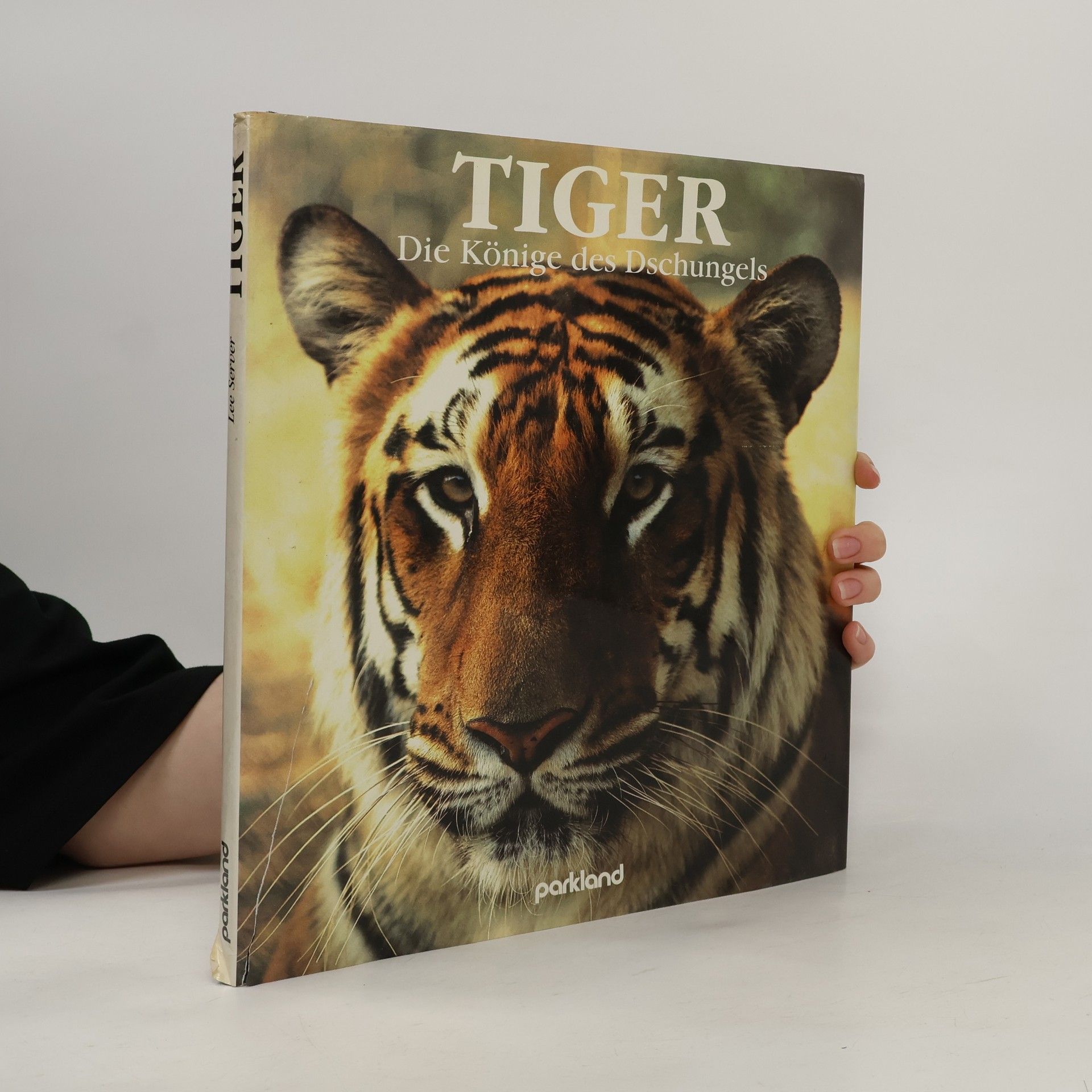 Lee Server Tiger