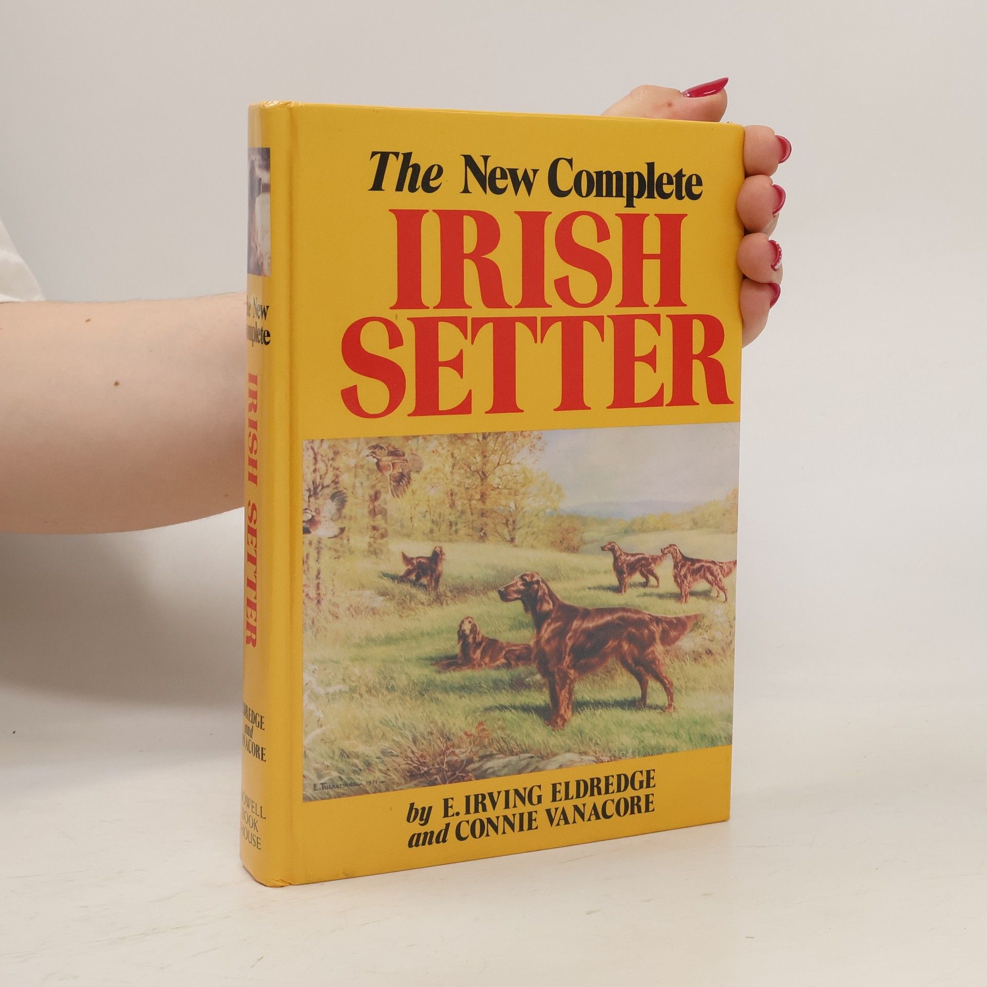 E. Irving Eldredge The New Complete Irish Setter
