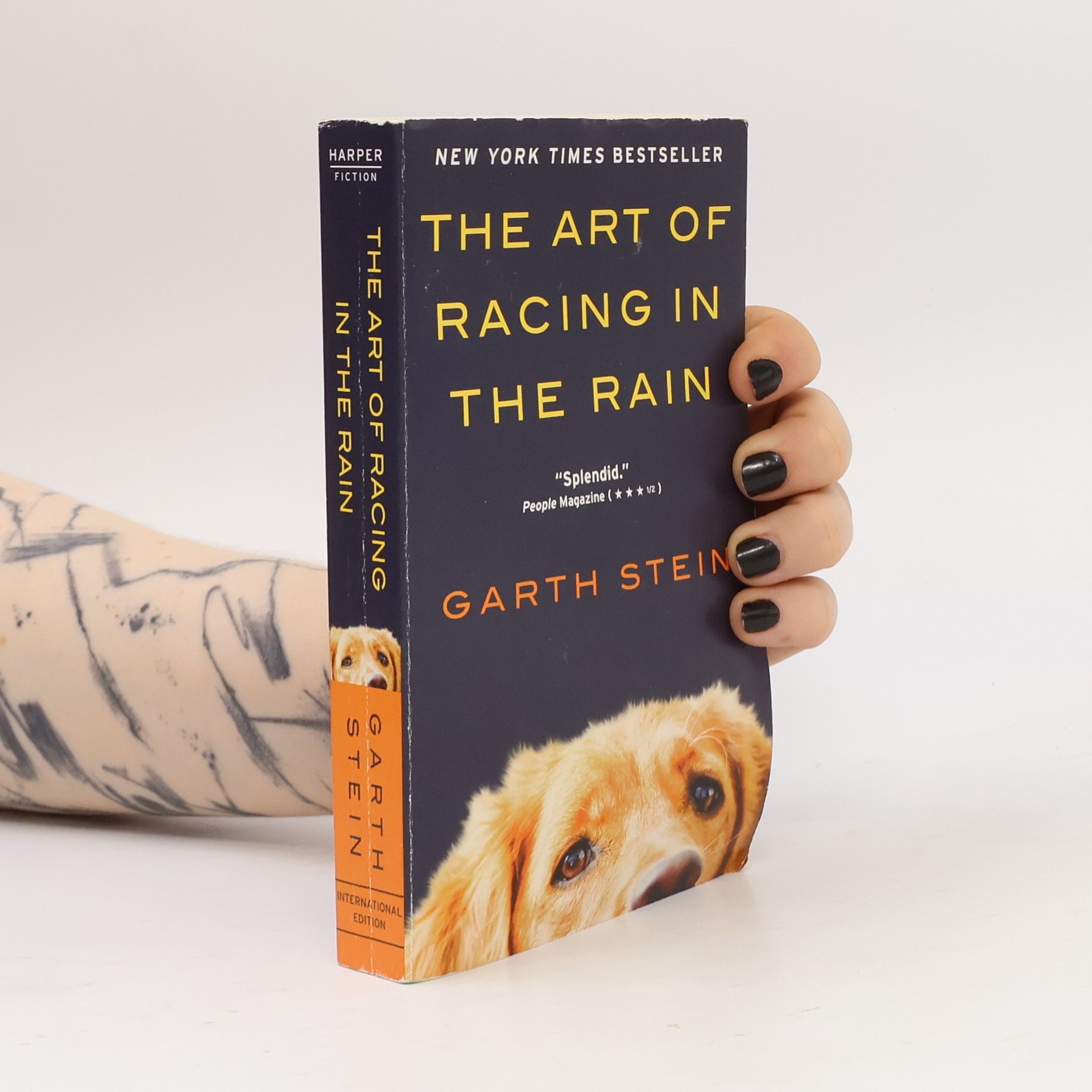 Garth Stein The Art of Racing in the Rain