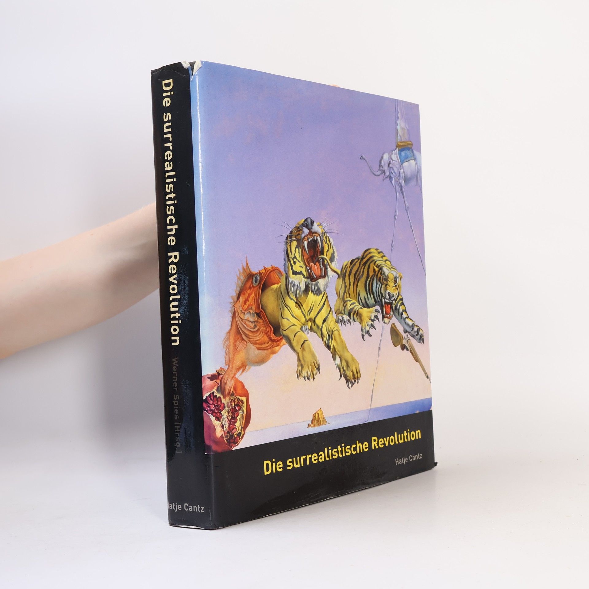 Werner Spies Die surrealistische Revolution