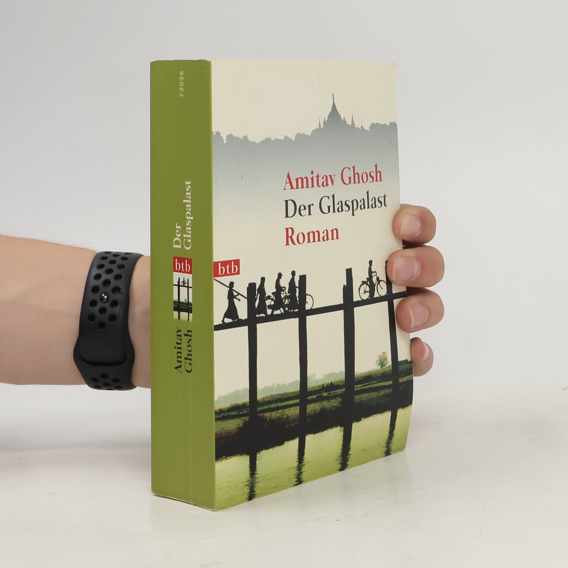 Amitav Ghosh Der Glaspalast