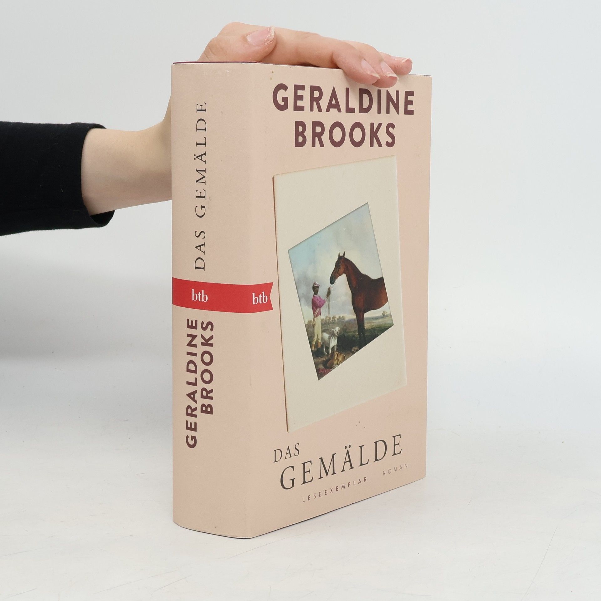 Geraldine Brooks Das Gemälde