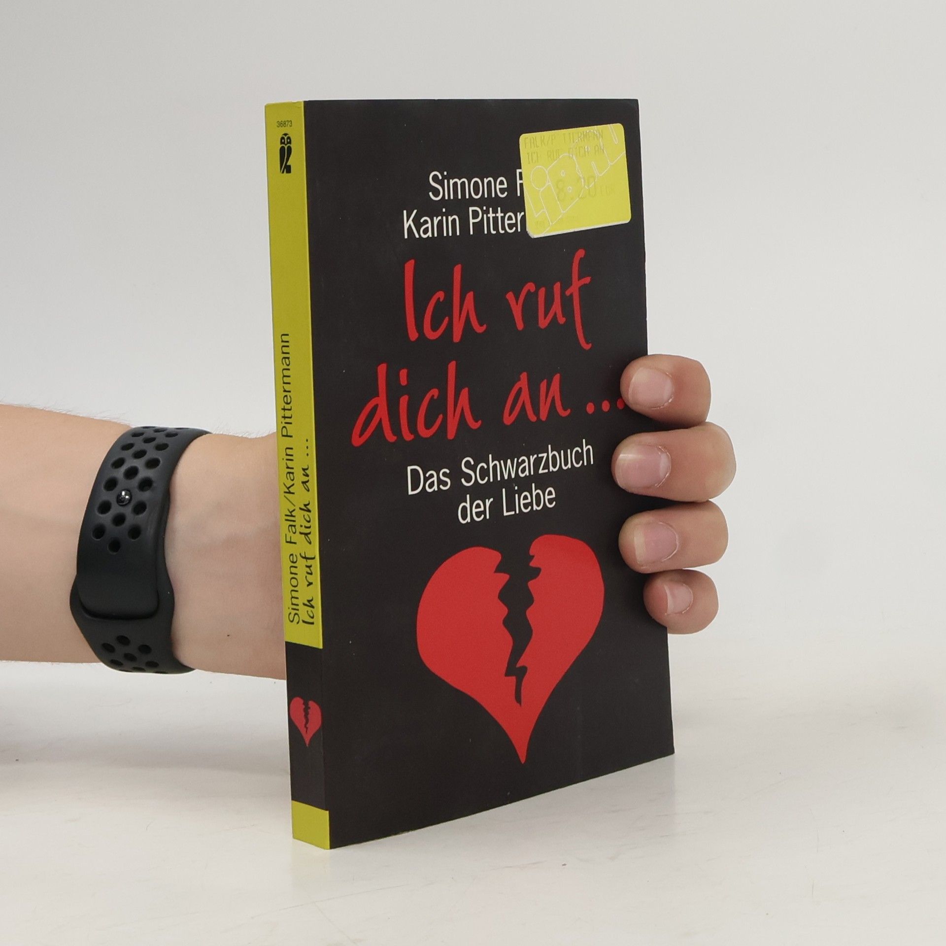 Simone Falk Ich ruf dich an ...