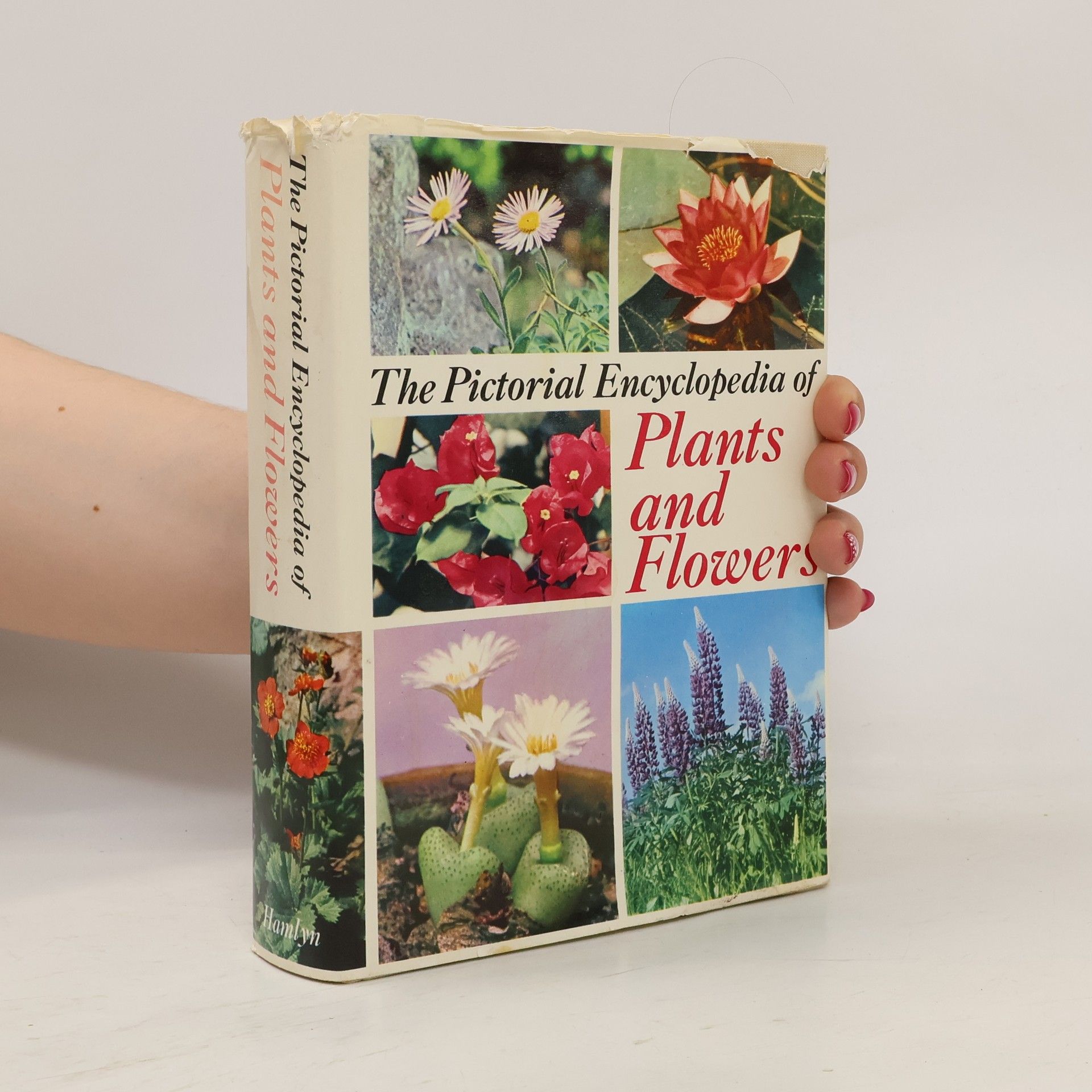 Pictorial Encyclopedia of Plants and Flowers