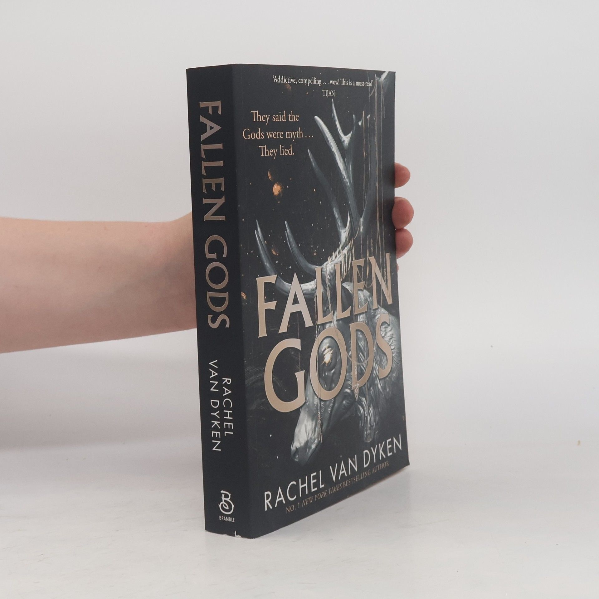 Rachel Van Dyken Fallen Gods