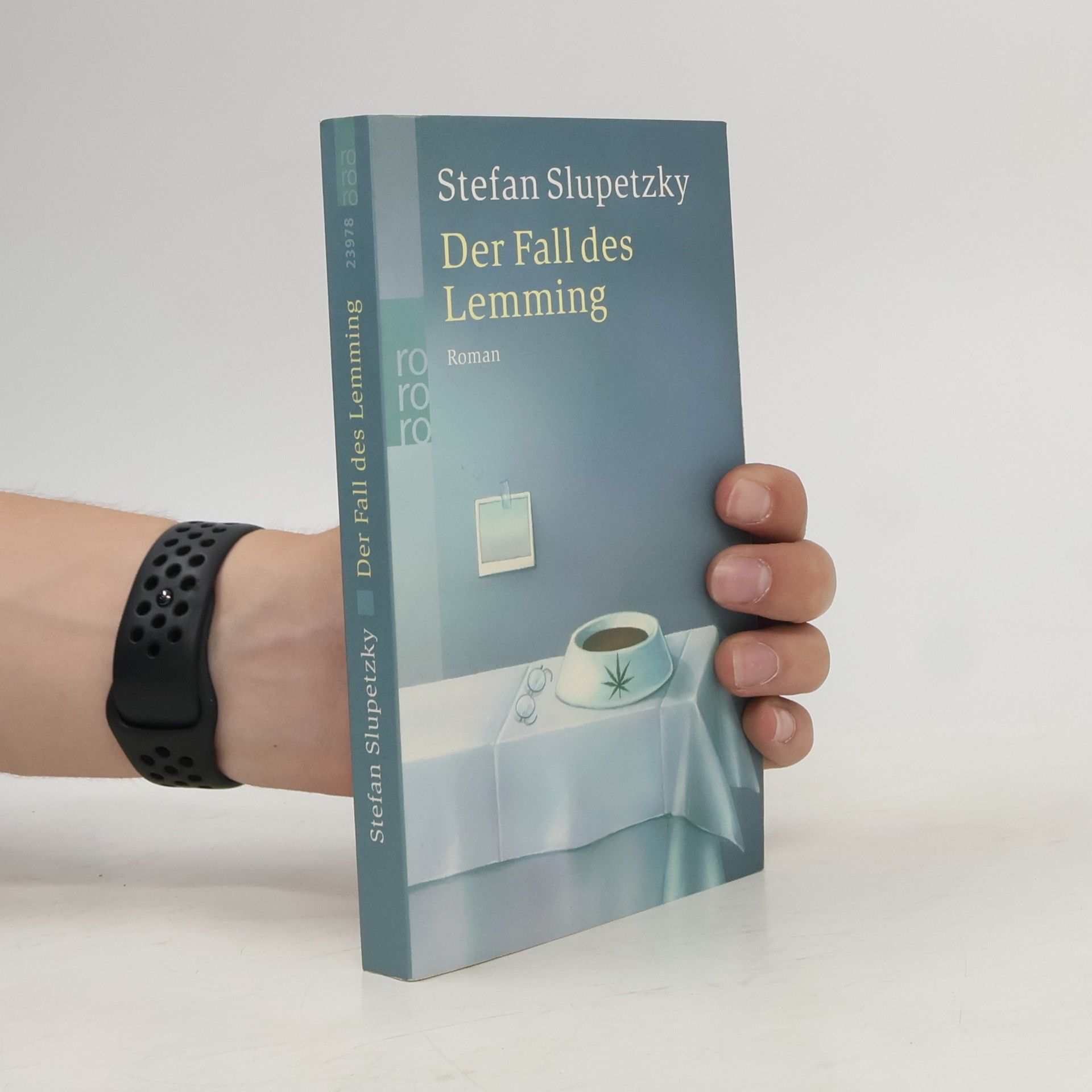 Stefan Slupetzky Der Fall des Lemming