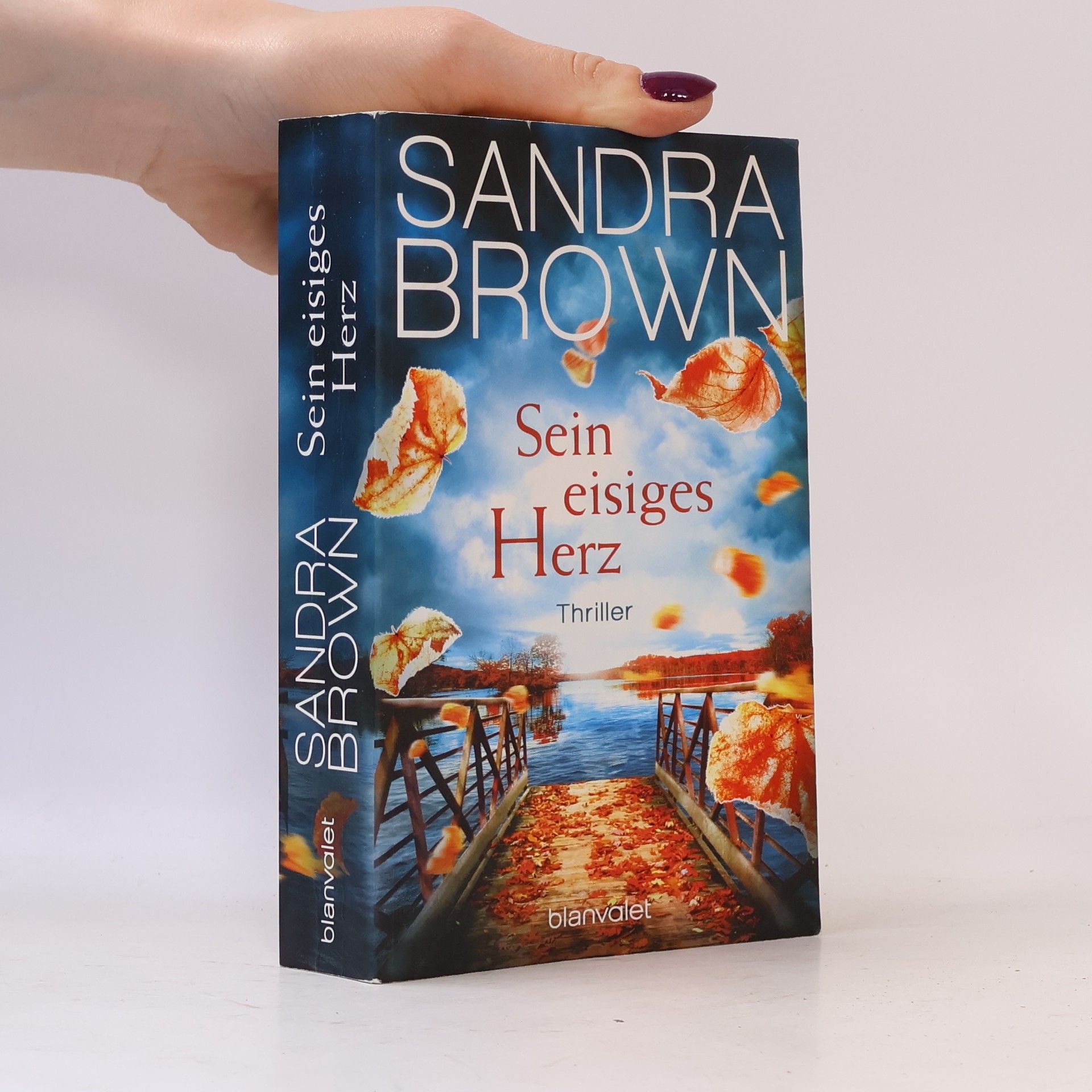 Sandra Brown Sein eisiges Herz