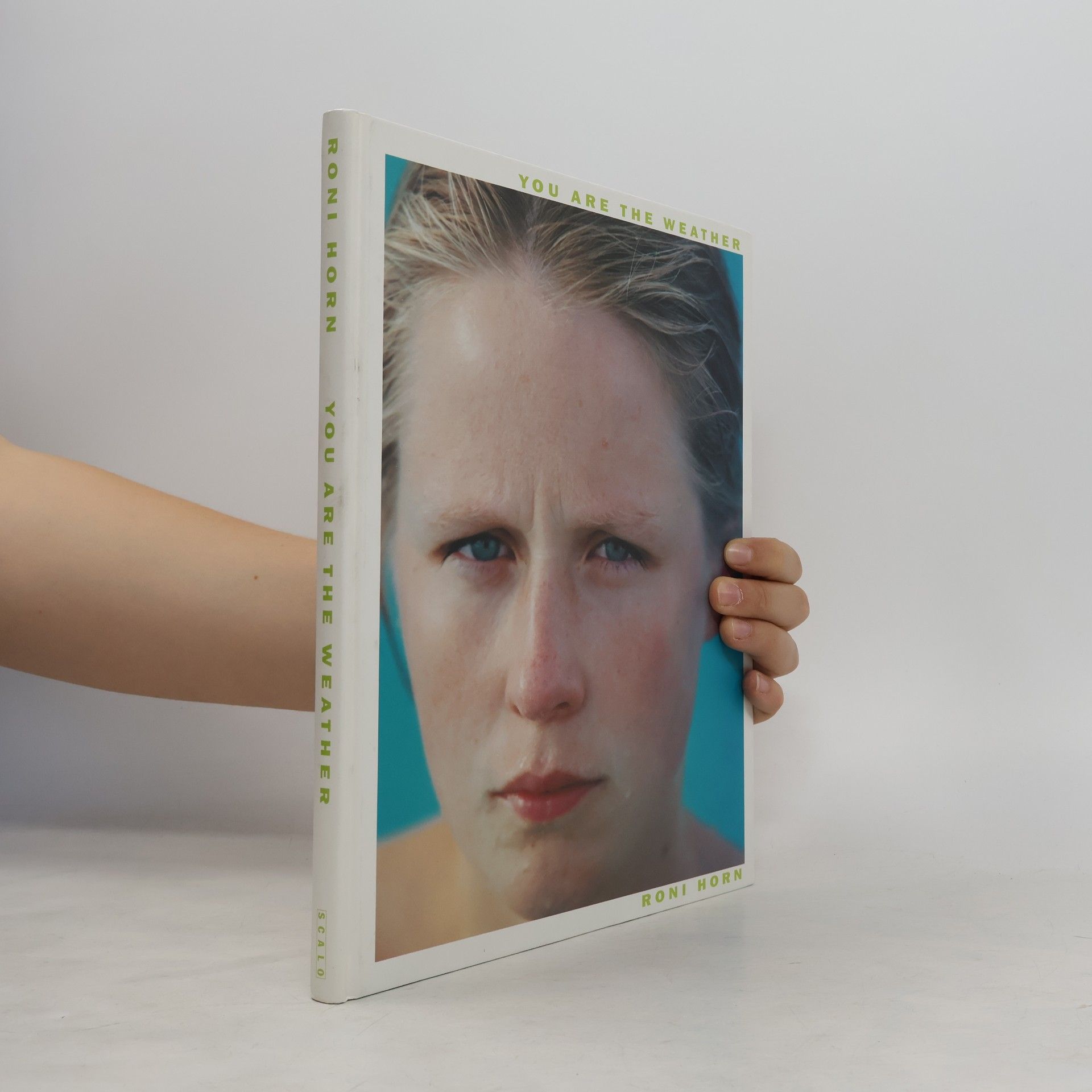 Roni Horn You Are the Weather