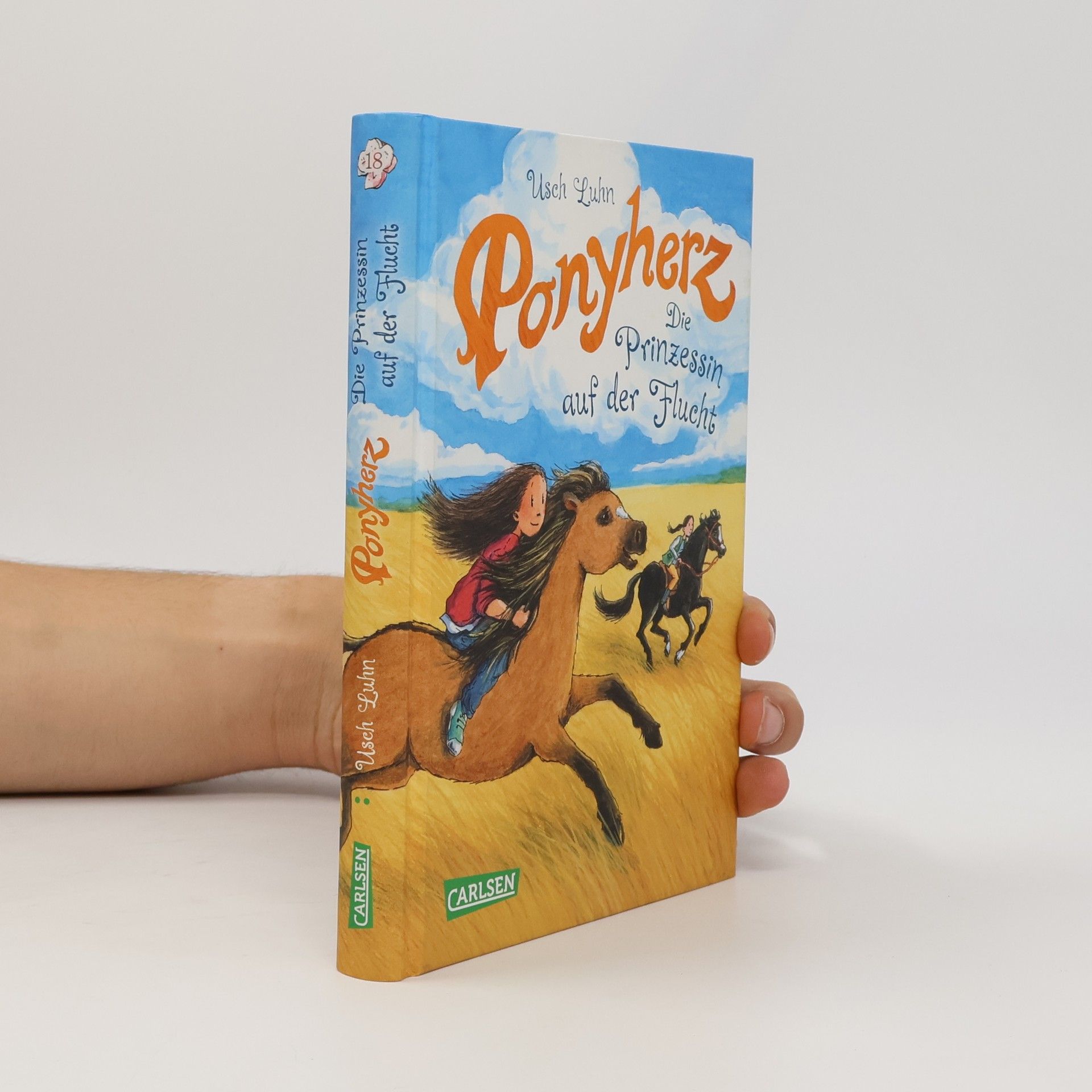 Usch Luhn Ponyherz 18: Die Prinzessin auf der Flucht