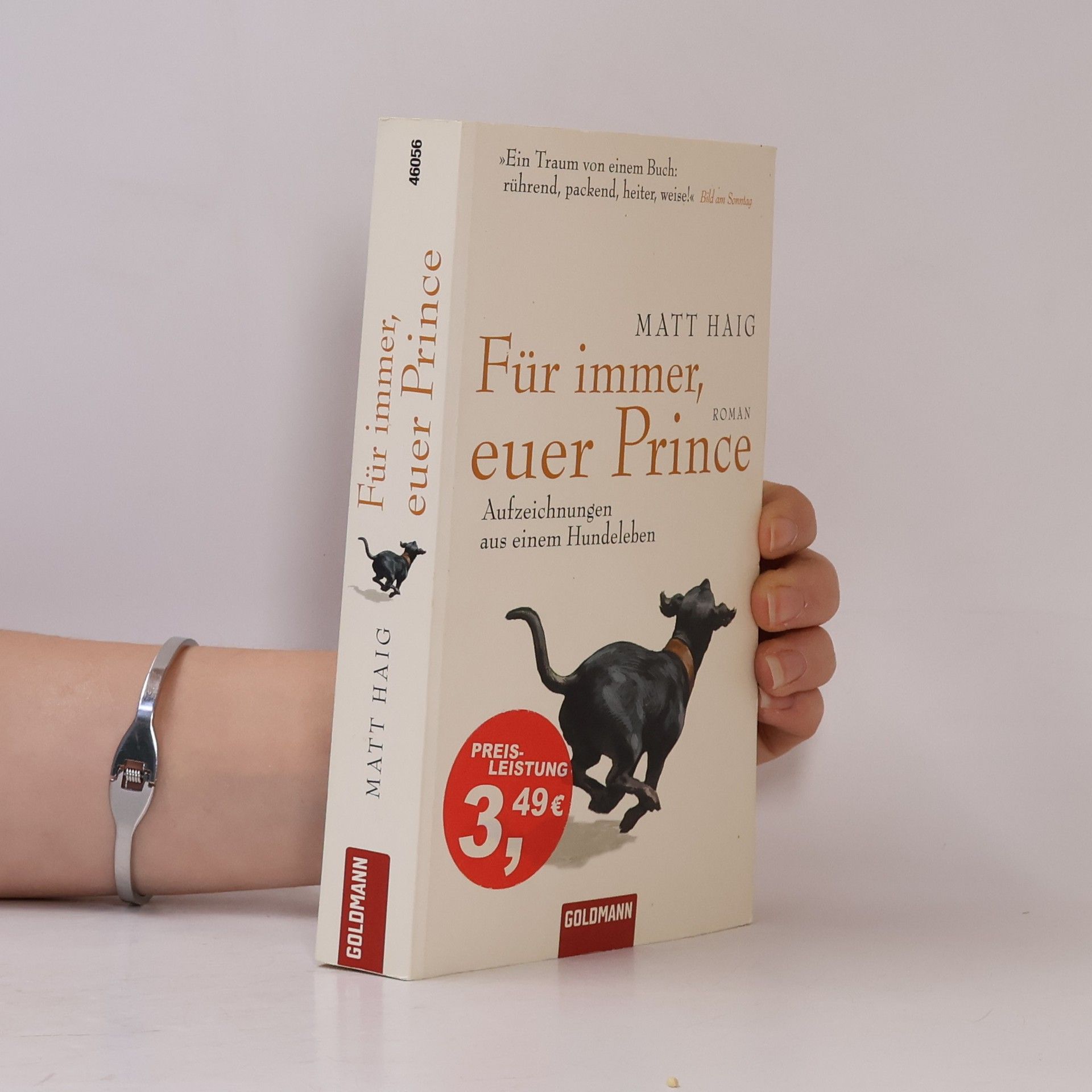 Matt Haig Für immer, euer Prince