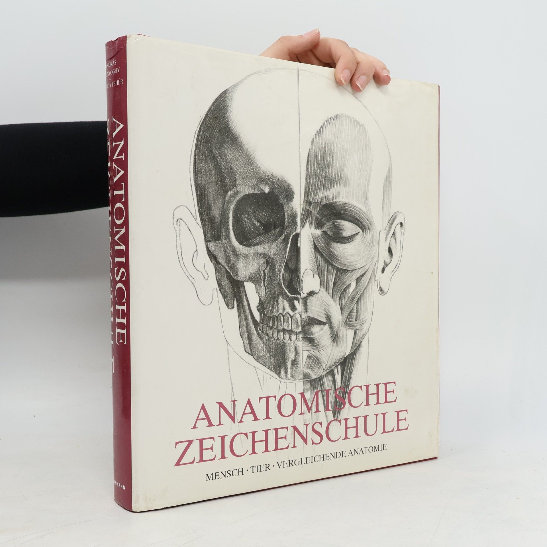 András Szunyoghy Anatomische Zeichenschule